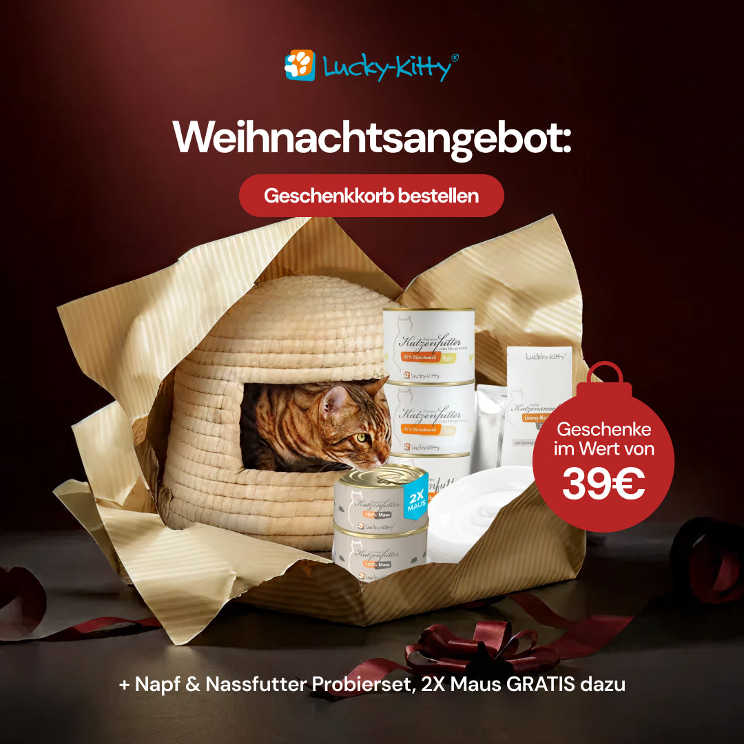 Geschenkkorb (inkl. Gratis Napf, Nassfutter, Maus)
