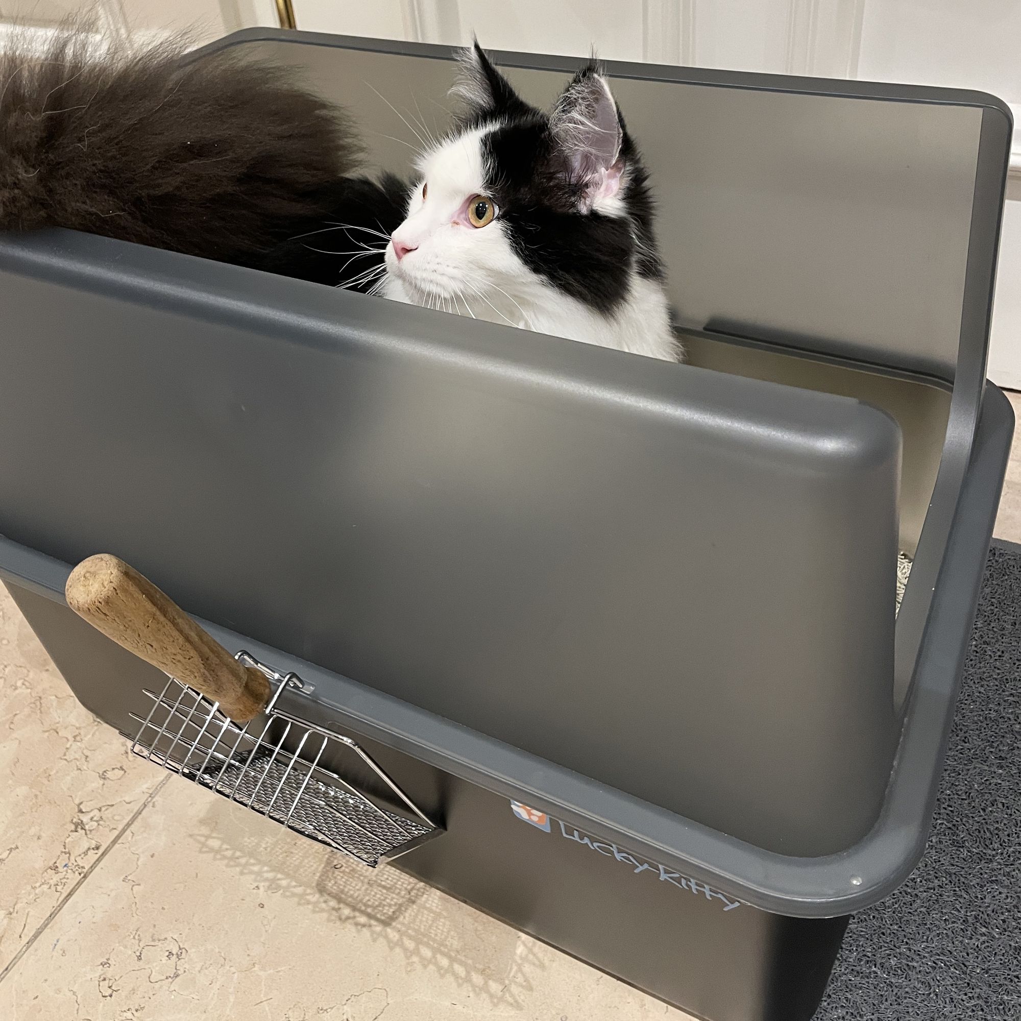 Cat toilet XXL stainless steel