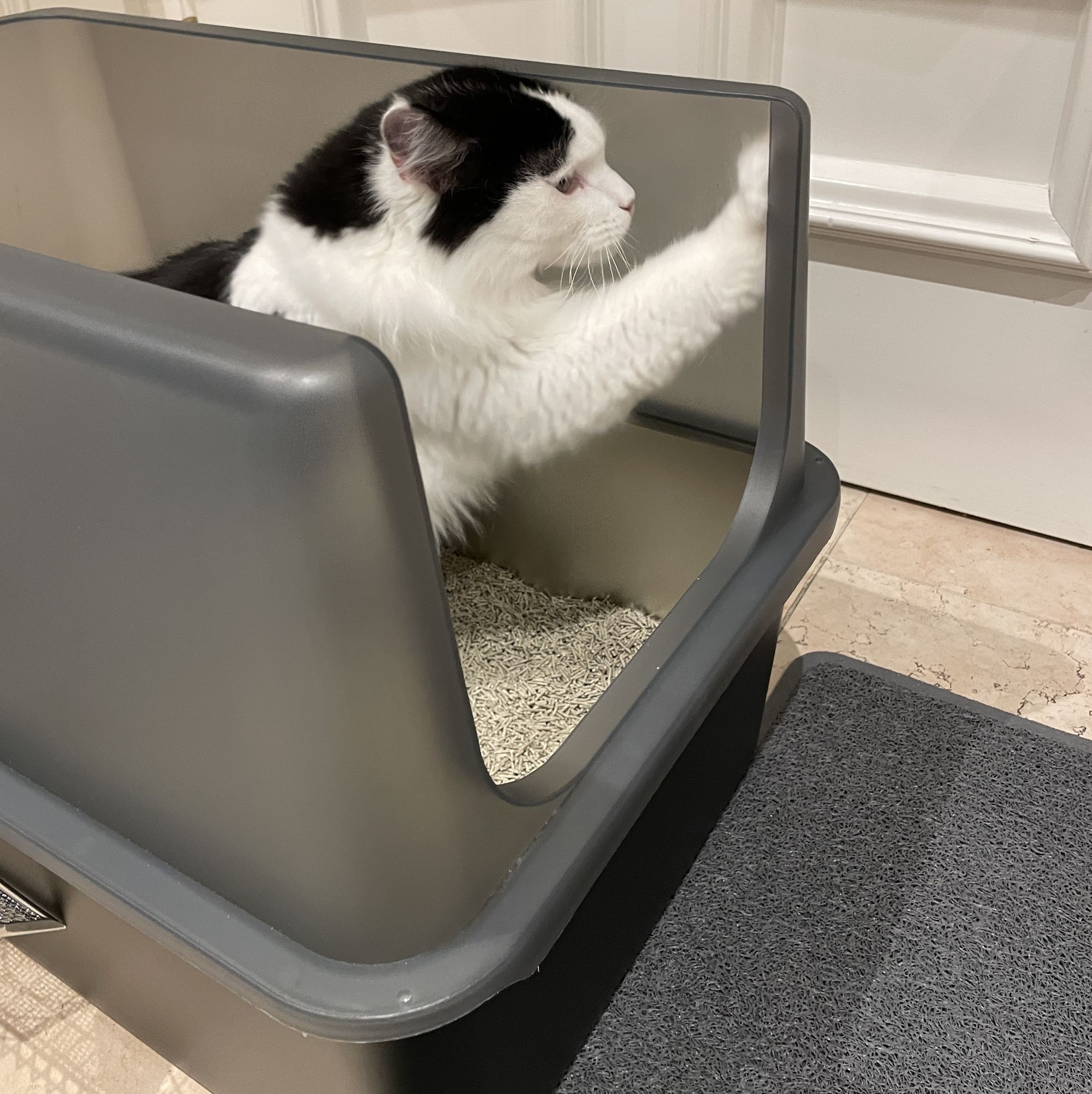 Haube für Katzentoilette XXL - Exklusiv