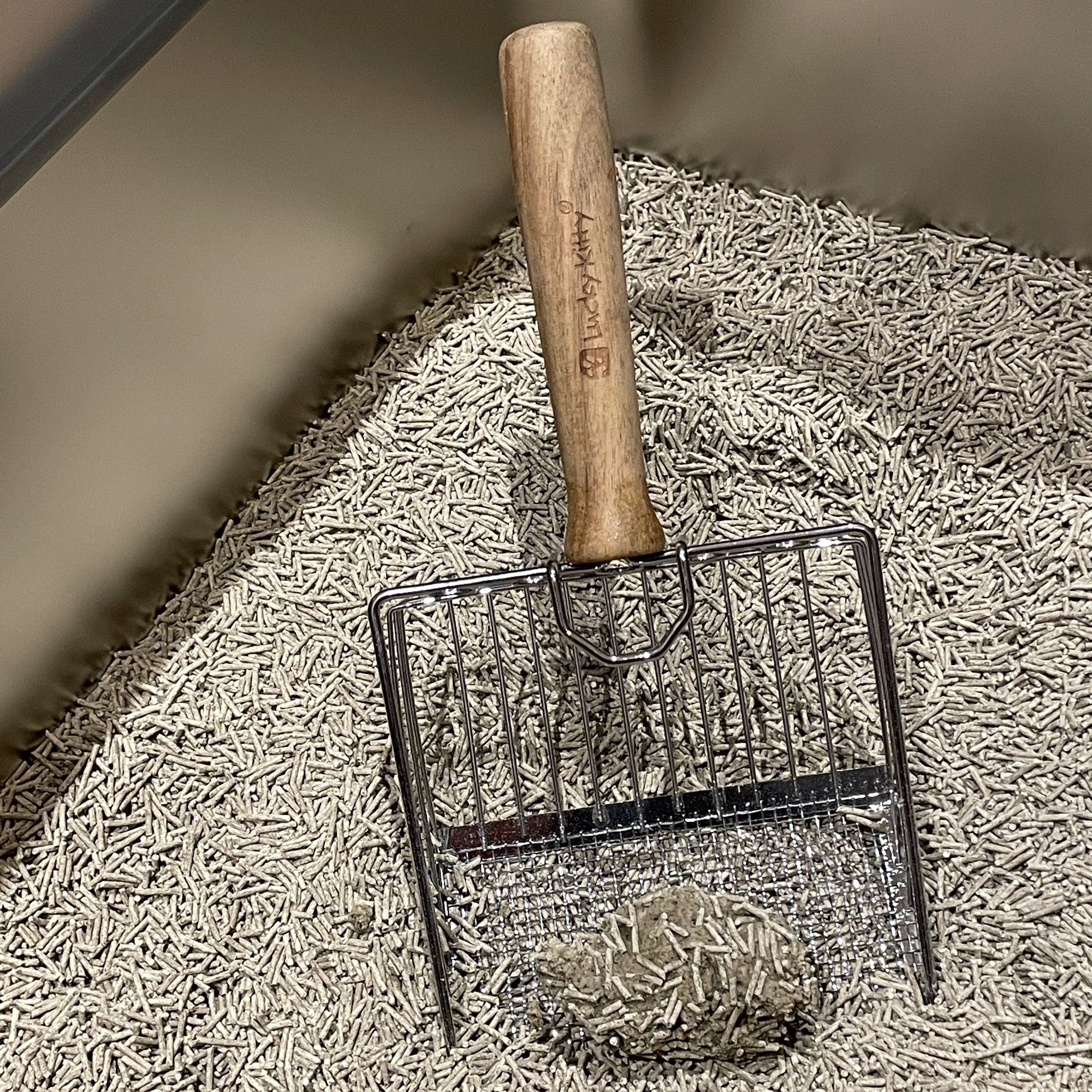 Himmlische Reinheit (inkl. Gratis Katzenstreu)