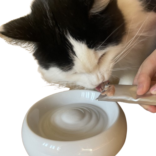 Creamy-Meat Ente (Filetcreme - 4 Stück)