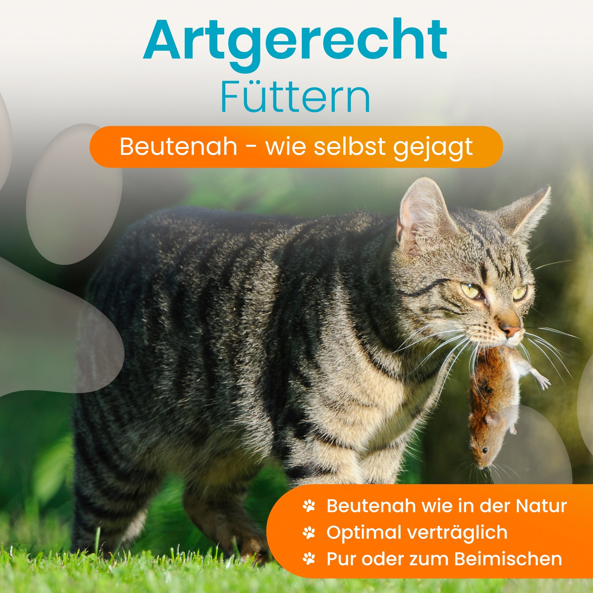 Katzenfutter Maus Pur Welt-Exklusiv