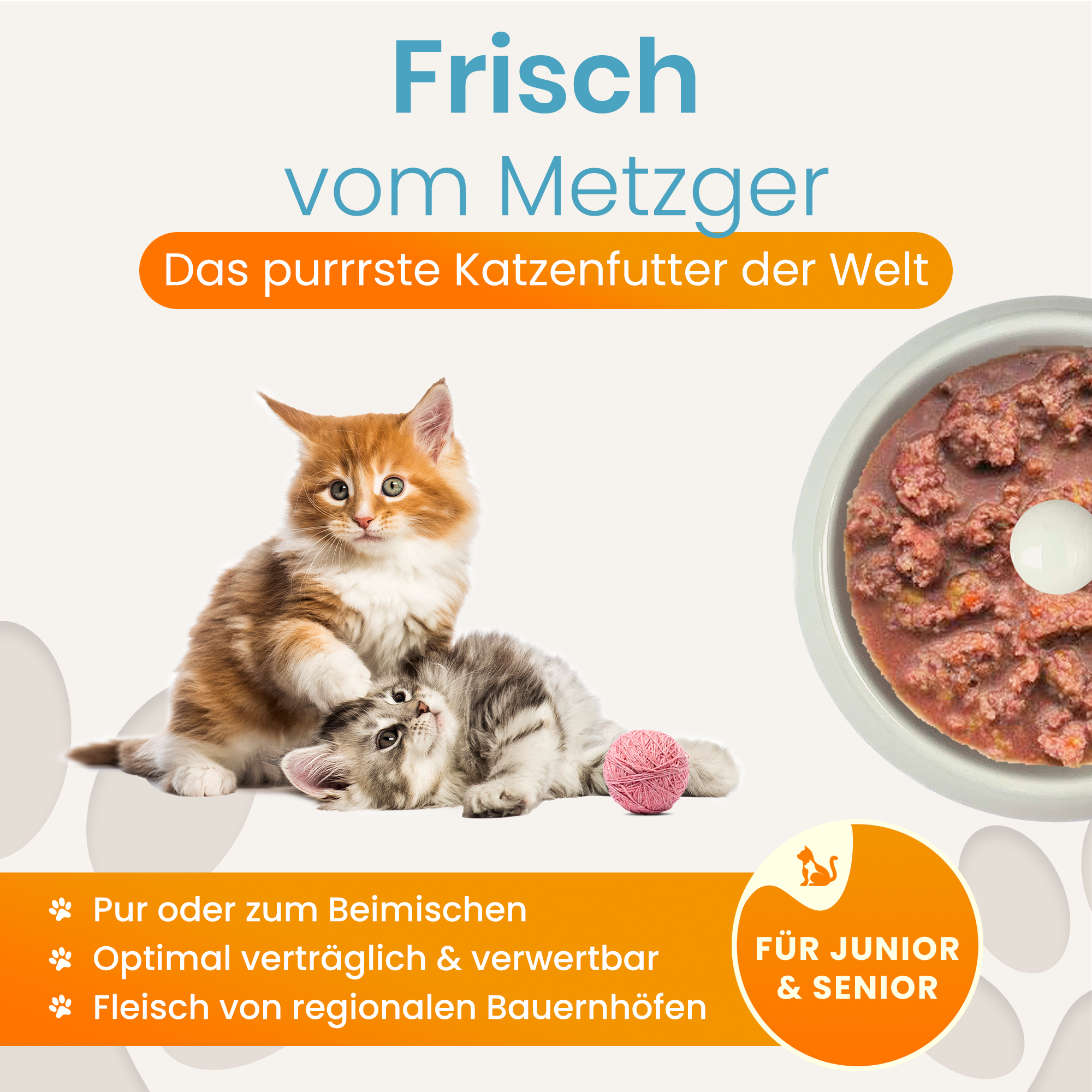 Katzenfutter Fisch Premium-Qualität