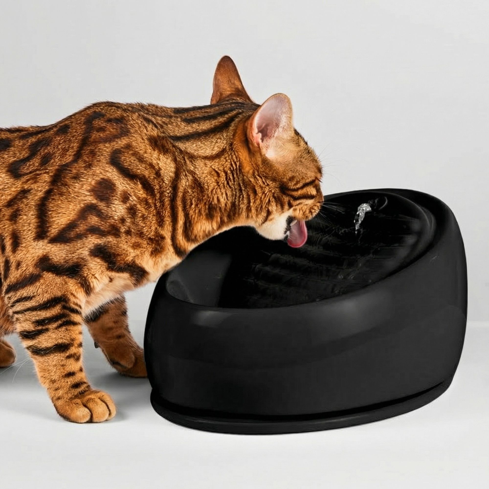 Katzenbrunnen Keramik (Matte-Schwarz)