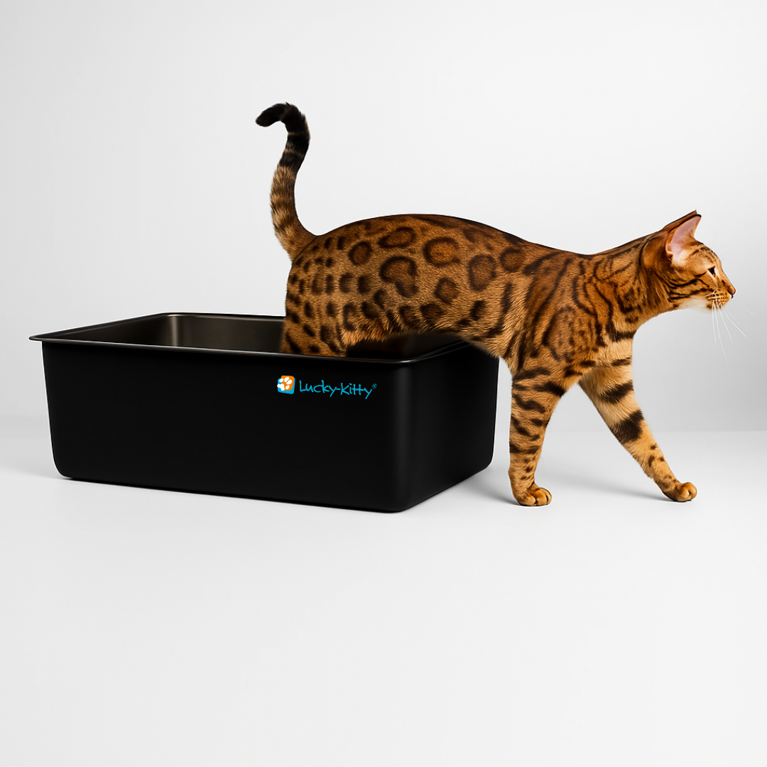Cat toilet XXL stainless steel