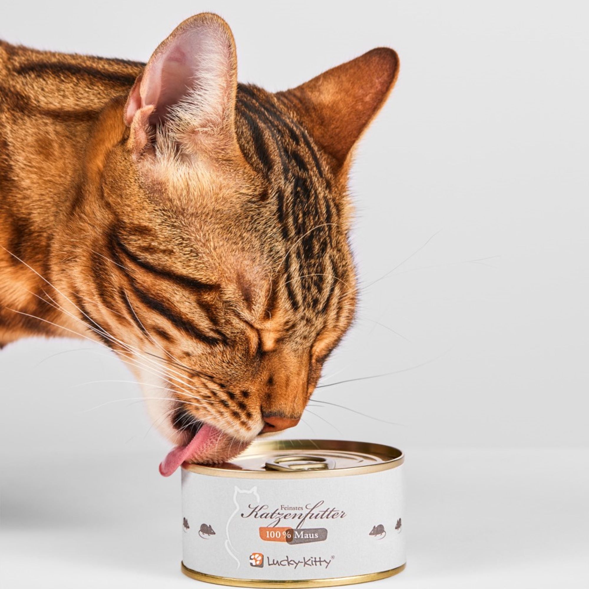 Cat Food Mouse Pure World Exclusive