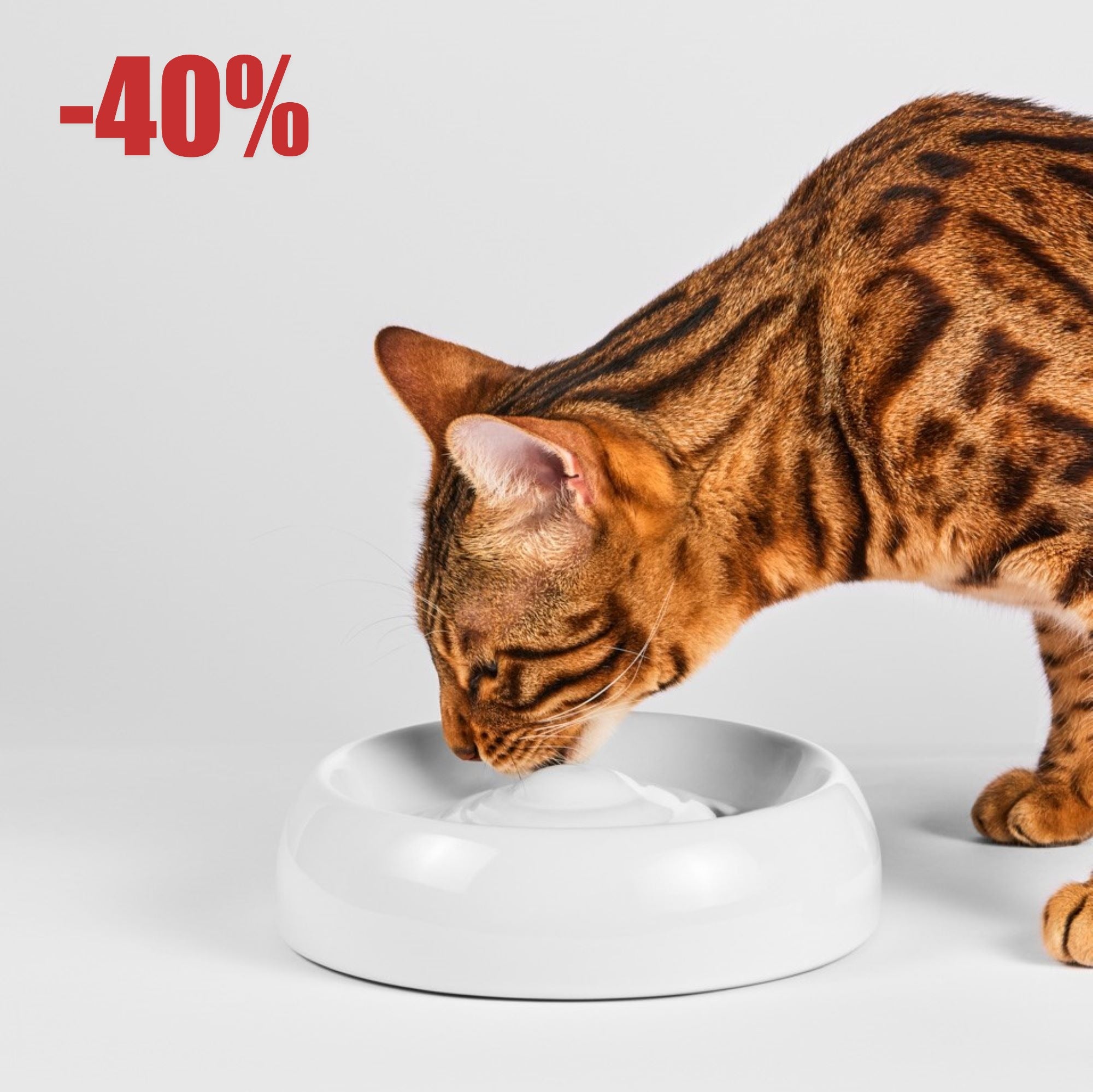 Katzennapf Keramik Premium-Qualität