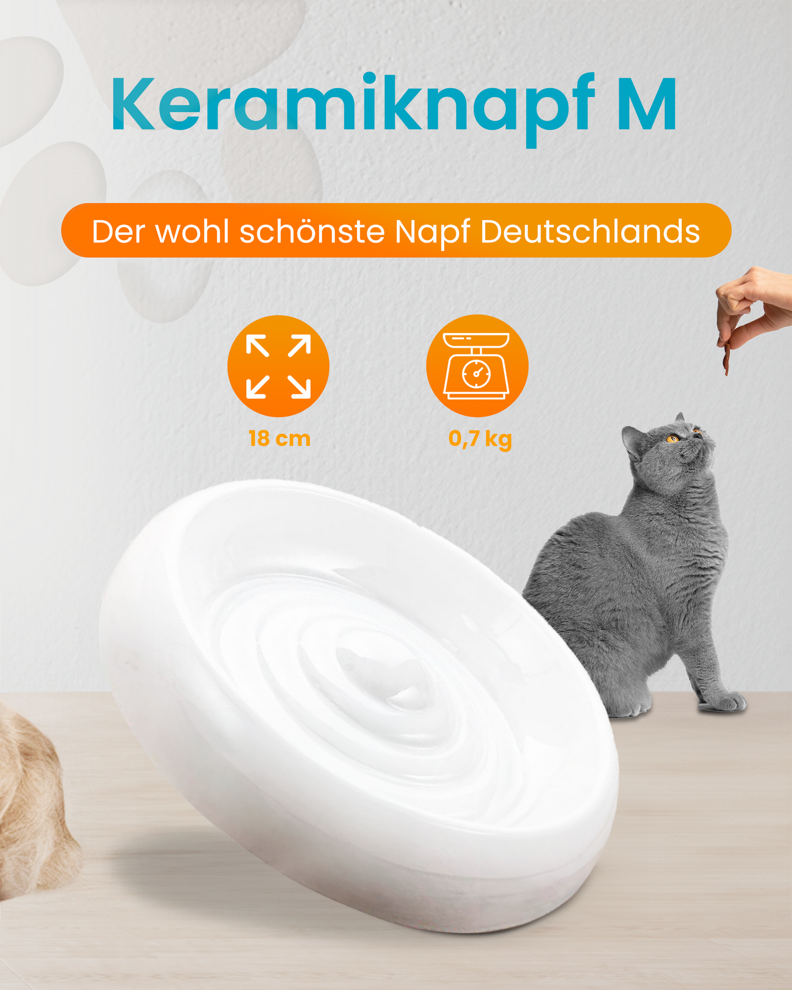 Katzennapf Keramik Premium-Qualität