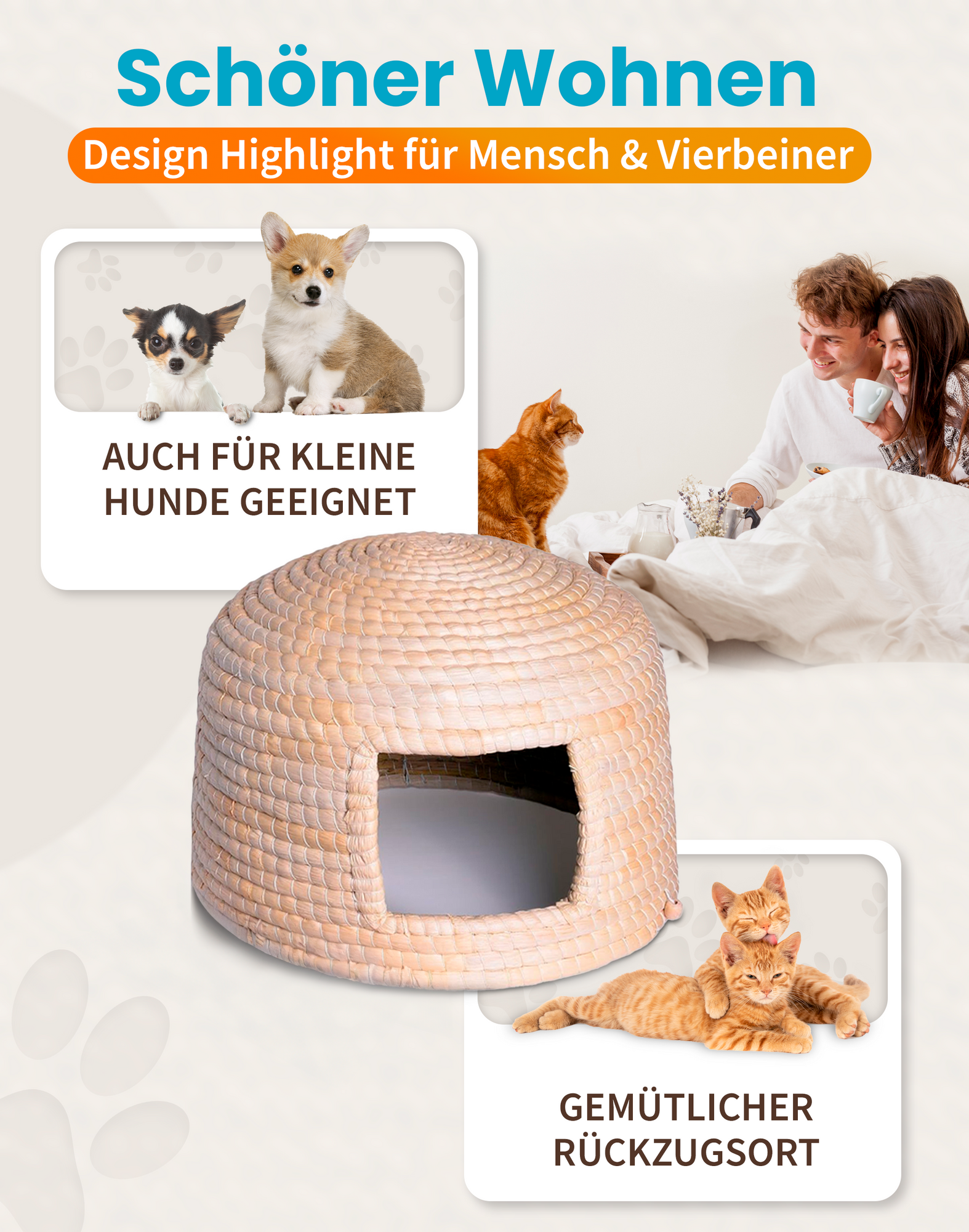 Geschenkkorb (inkl. Gratis Napf, Nassfutter, Maus)