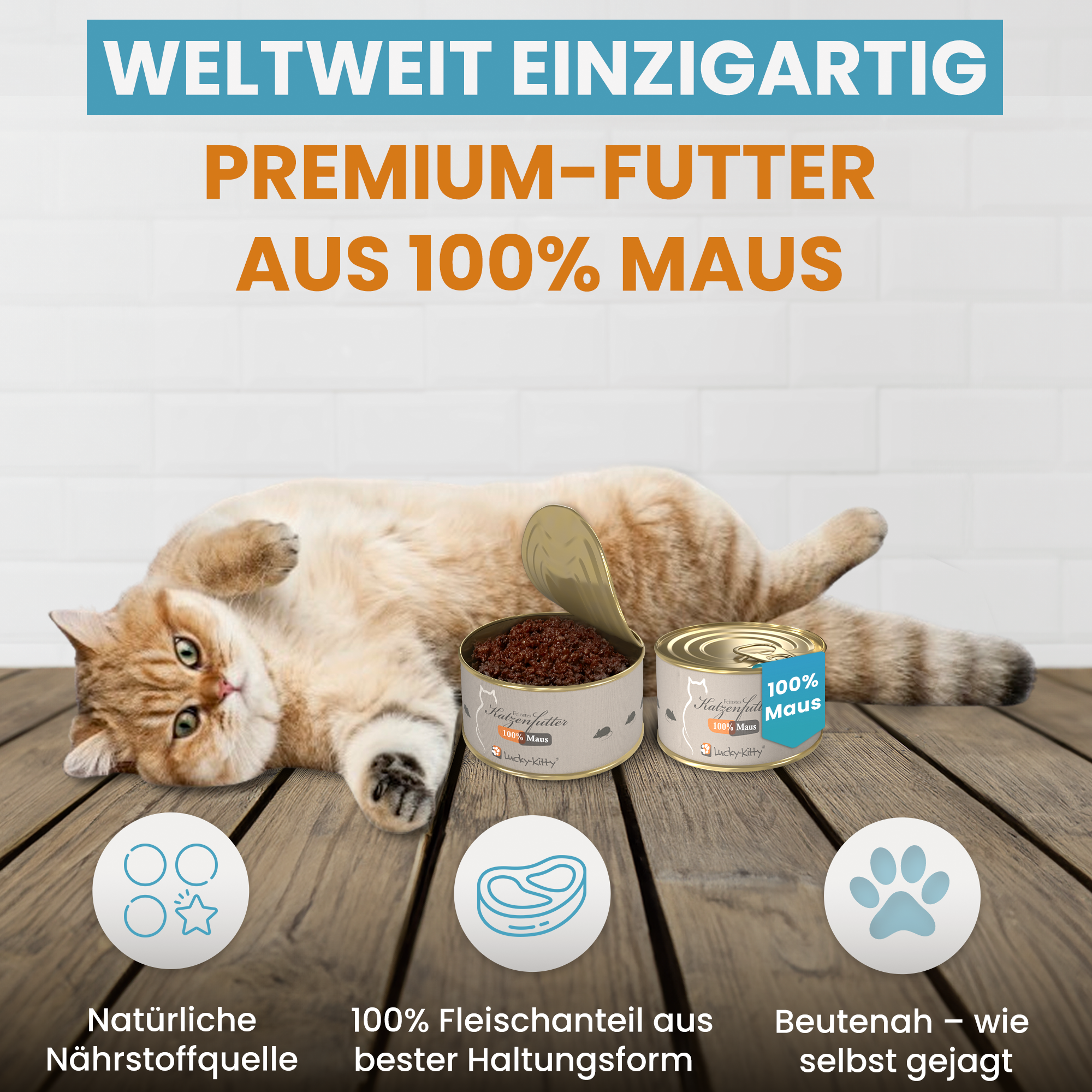 Value Pack "Our Bestsellers"