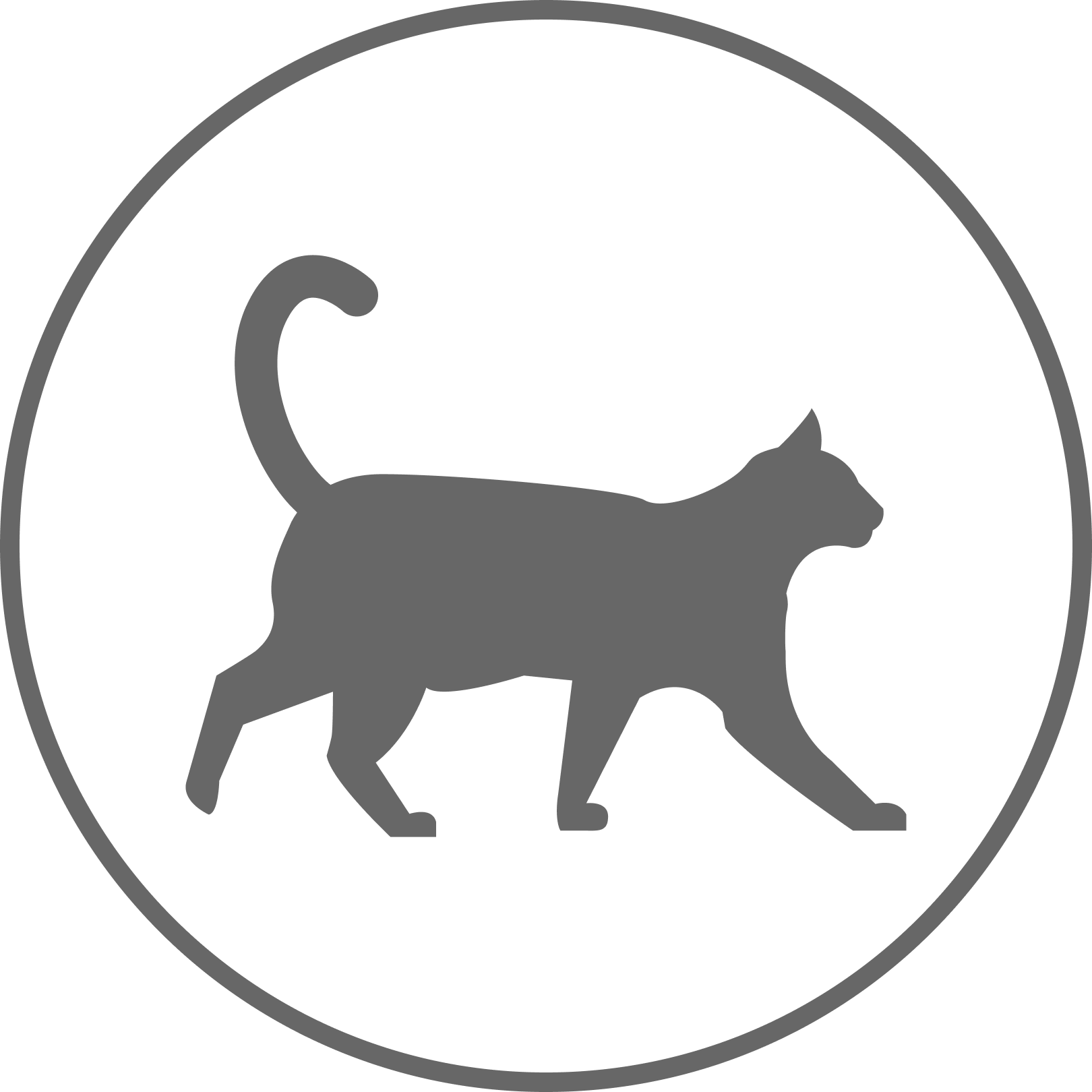 Alt Image