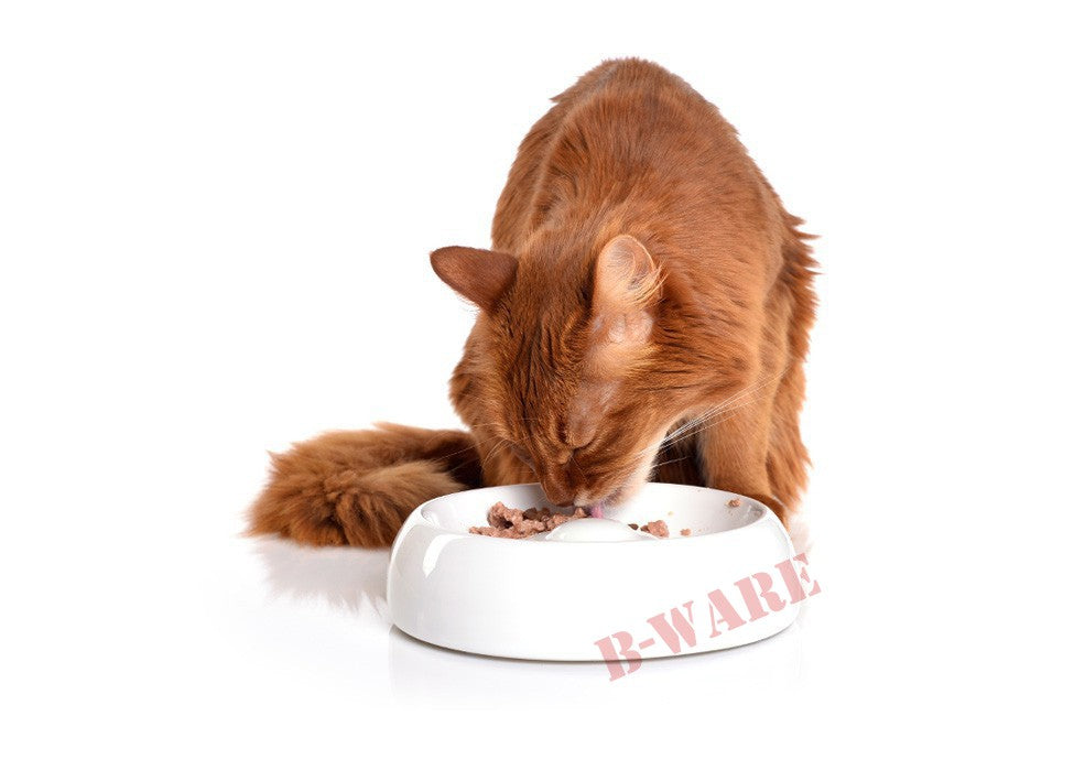 Katzennapf Keramik (B-Ware)