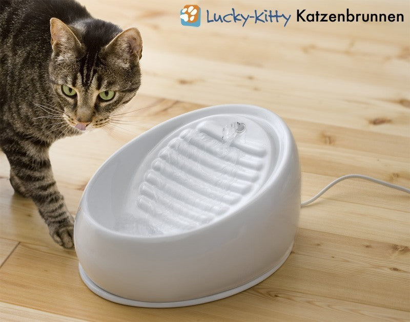 Cat Fountain Ceramic (B-grade)