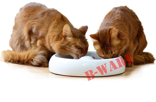 Cat Bowl Ceramic (B-Stock)