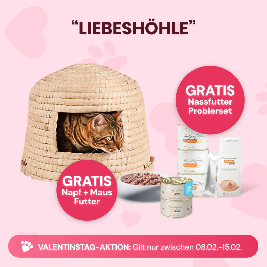 Liebeshöhle (inkl. Gratis Napf, Nassfutter, Maus)