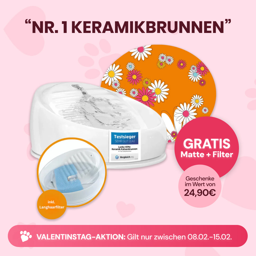 Nr. 1 Keramikbrunnen + Premium-Zubehör