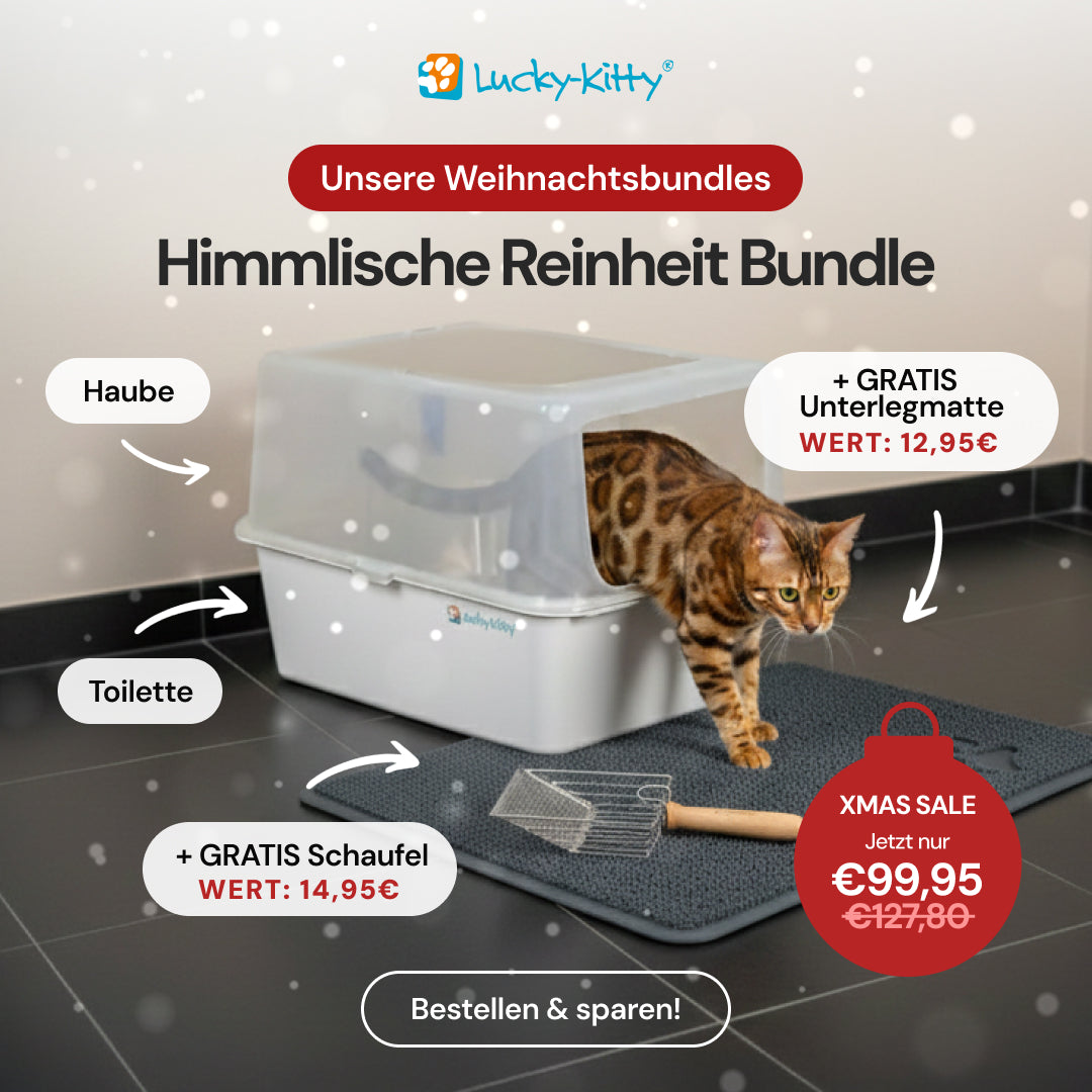 Himmlische Reinheit (inkl. Gratis Schaufel & Matte)