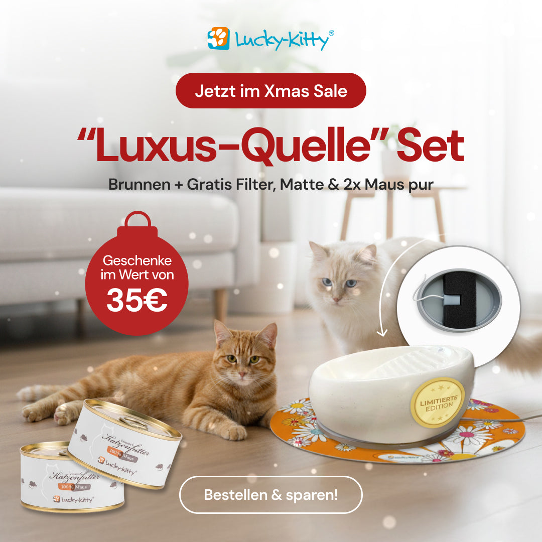 Luxus-Quelle (inkl. Gratis Filter, Matte & 2x Maus pur)