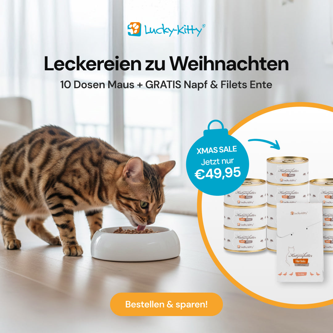 "Probier die Maus": Katzenfutter Maus Pur (10x100g) + Napf & Filets GRATIS