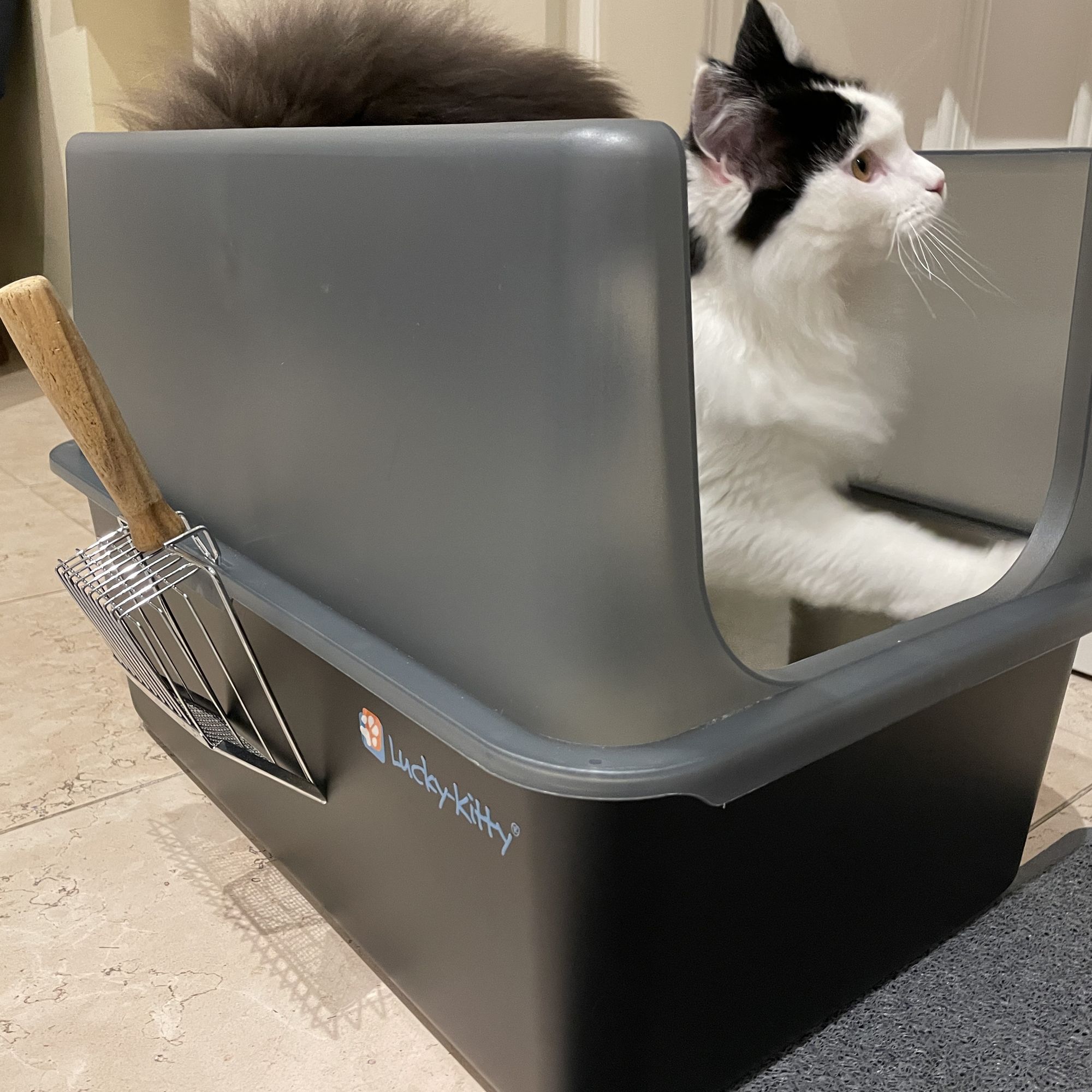 NEU: Haube für Katzentoilette XXL