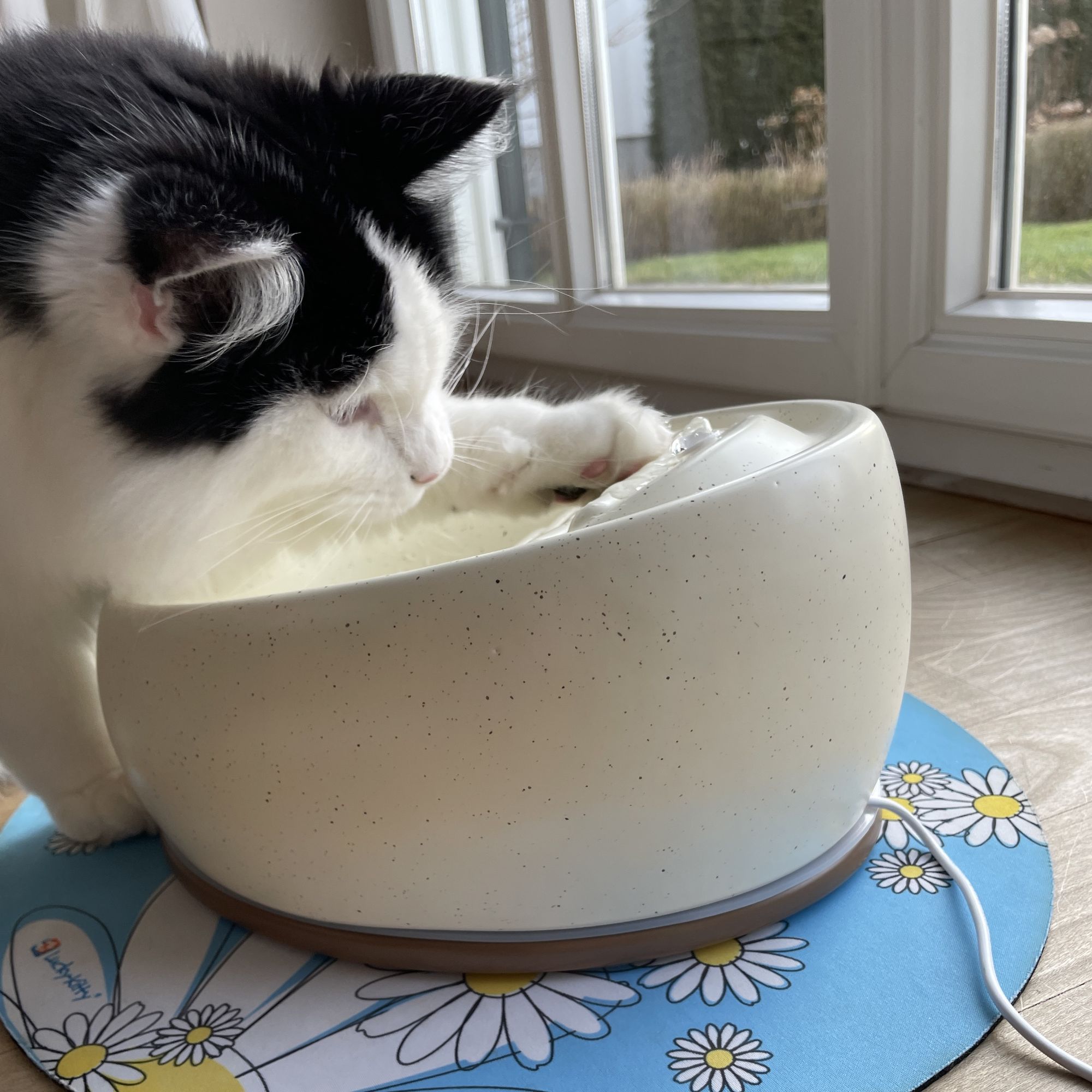 Katzenbrunnen Keramik LUXE (Sahara)