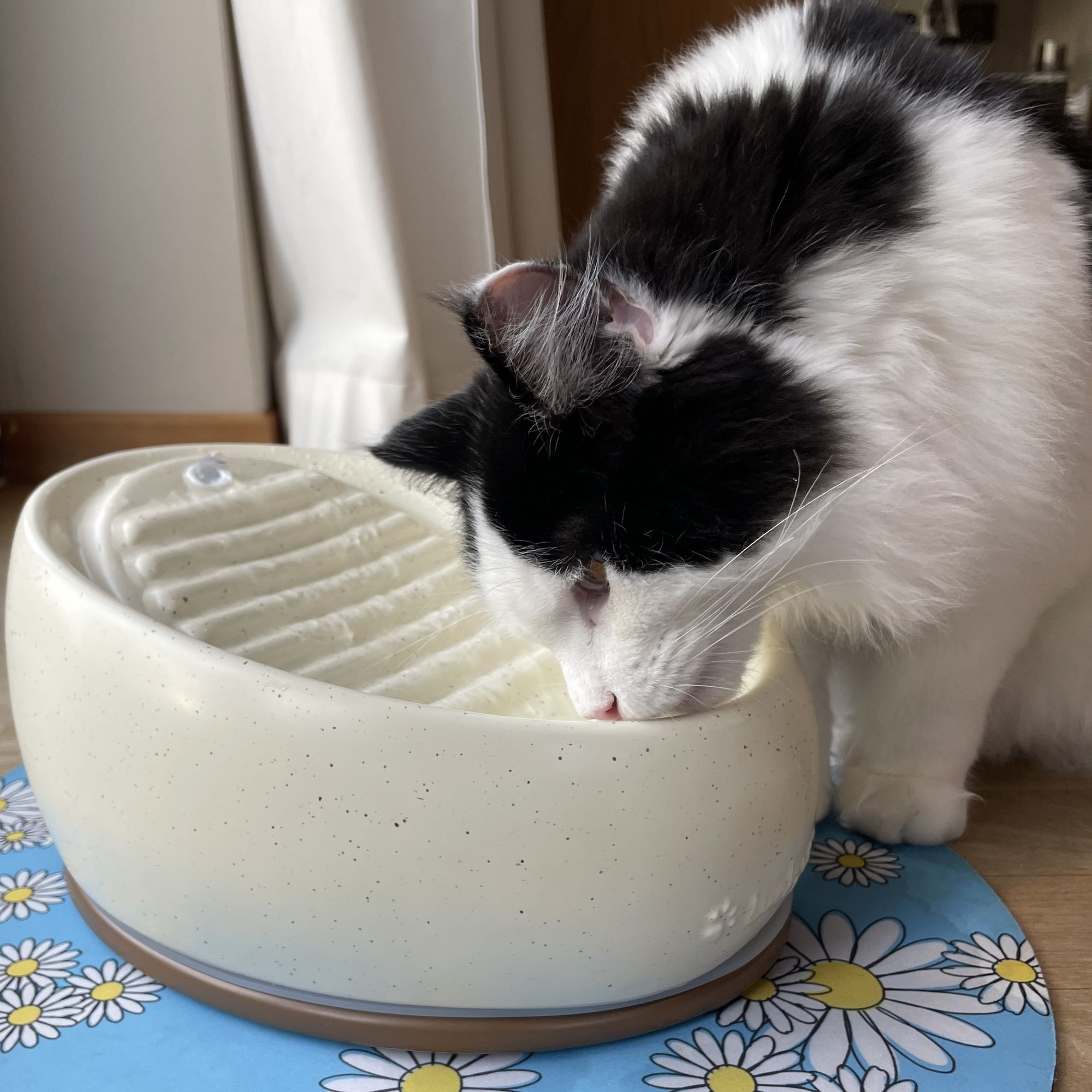 Katzenbrunnen Keramik LUXE (Sahara)