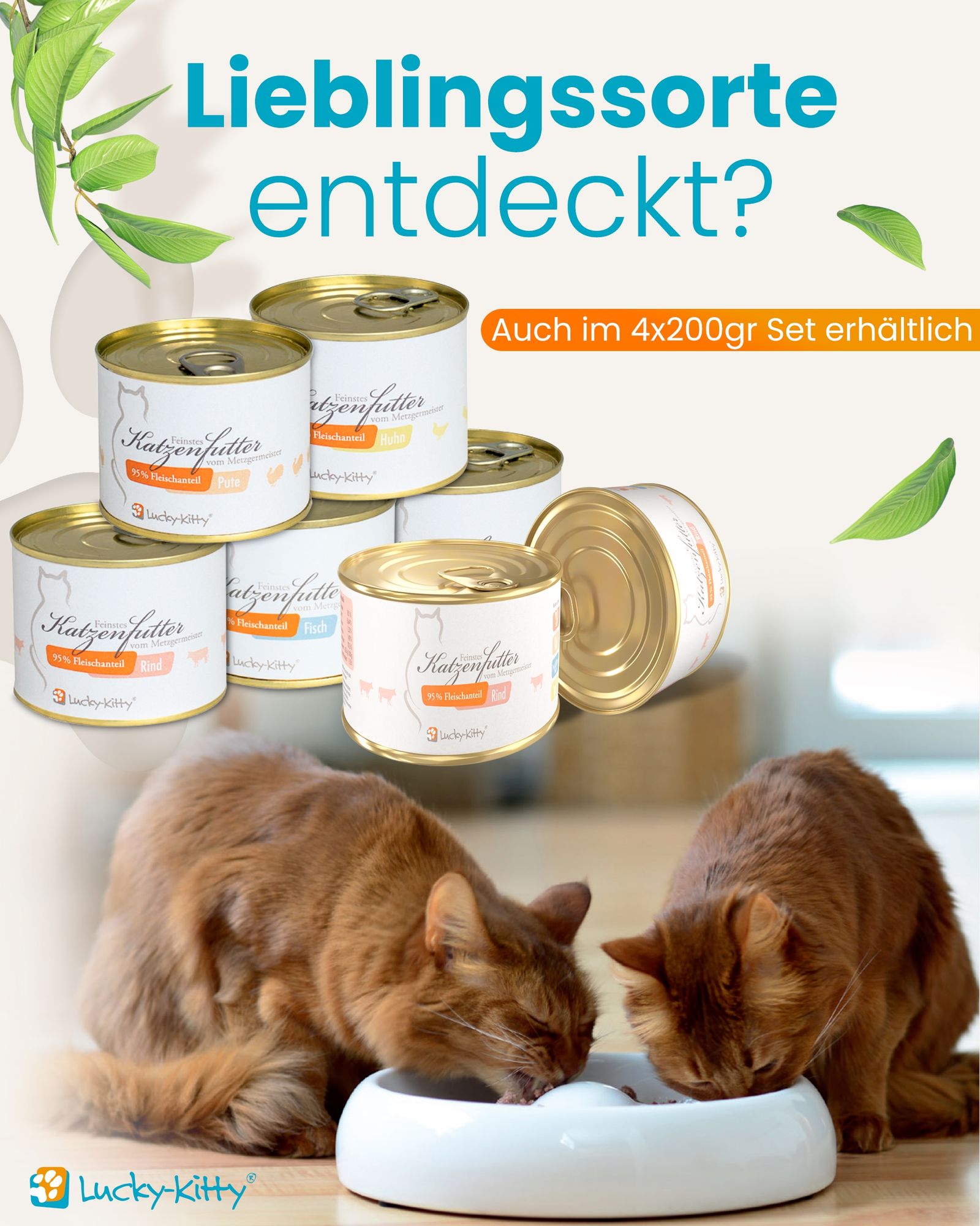 Katzenfutter Sparpaket A Premium-Qualität (16 x 200 Gramm = 3,2kg)