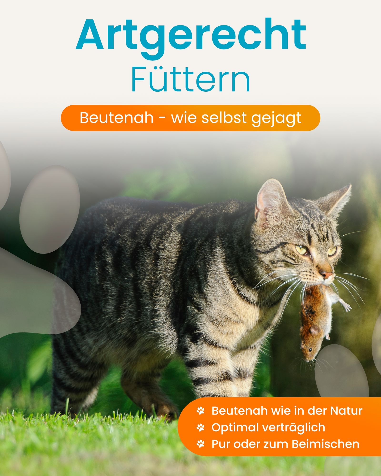 Katzenfutter Maus Pur Welt-Exklusiv