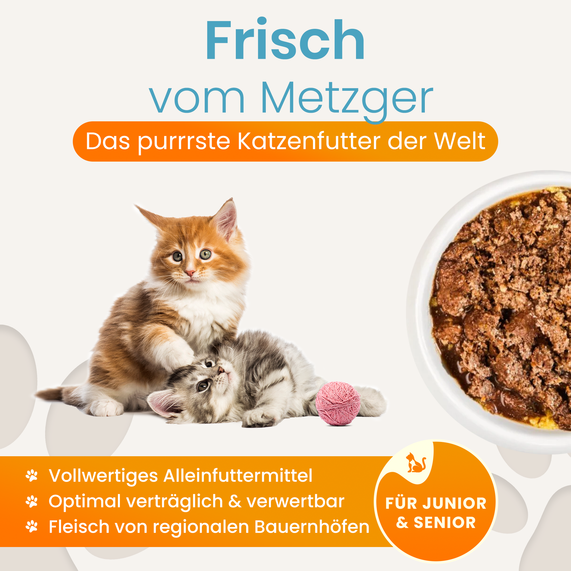 Cat Food Beef Premium Quality