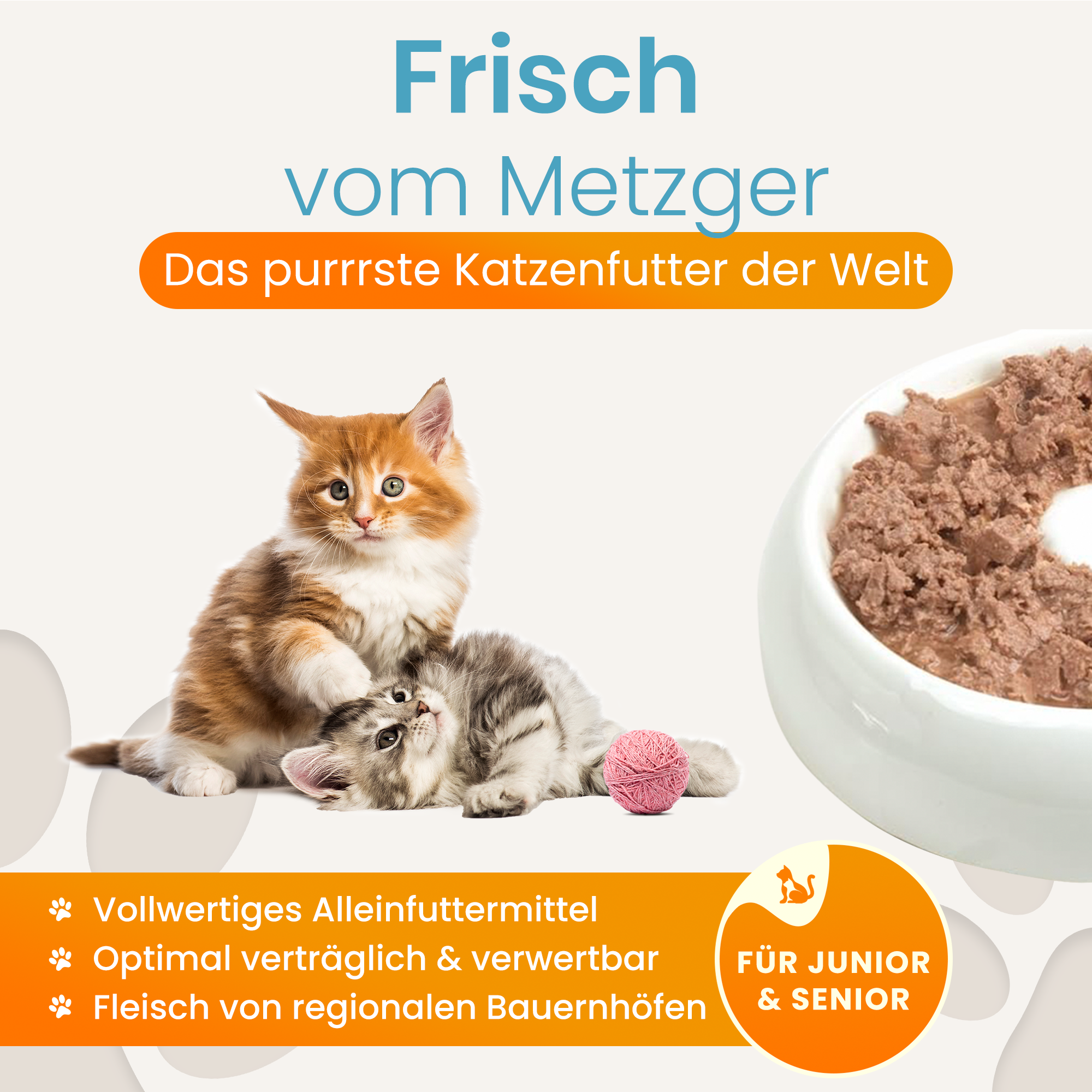 Cat food sample set (3x200g) + filet cream FREE