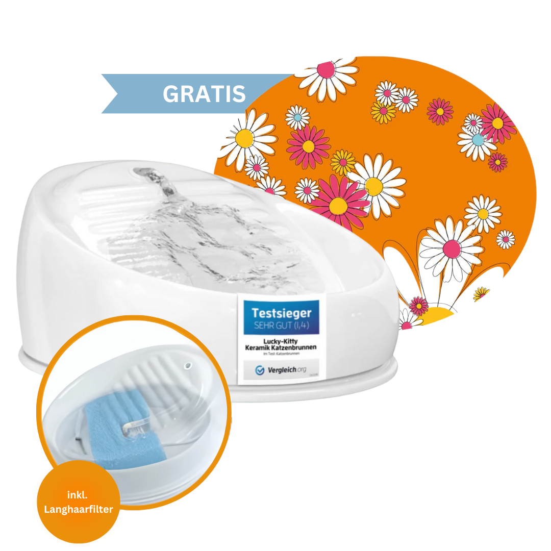 No. 1 Ceramic Fountain + Premium Accessories