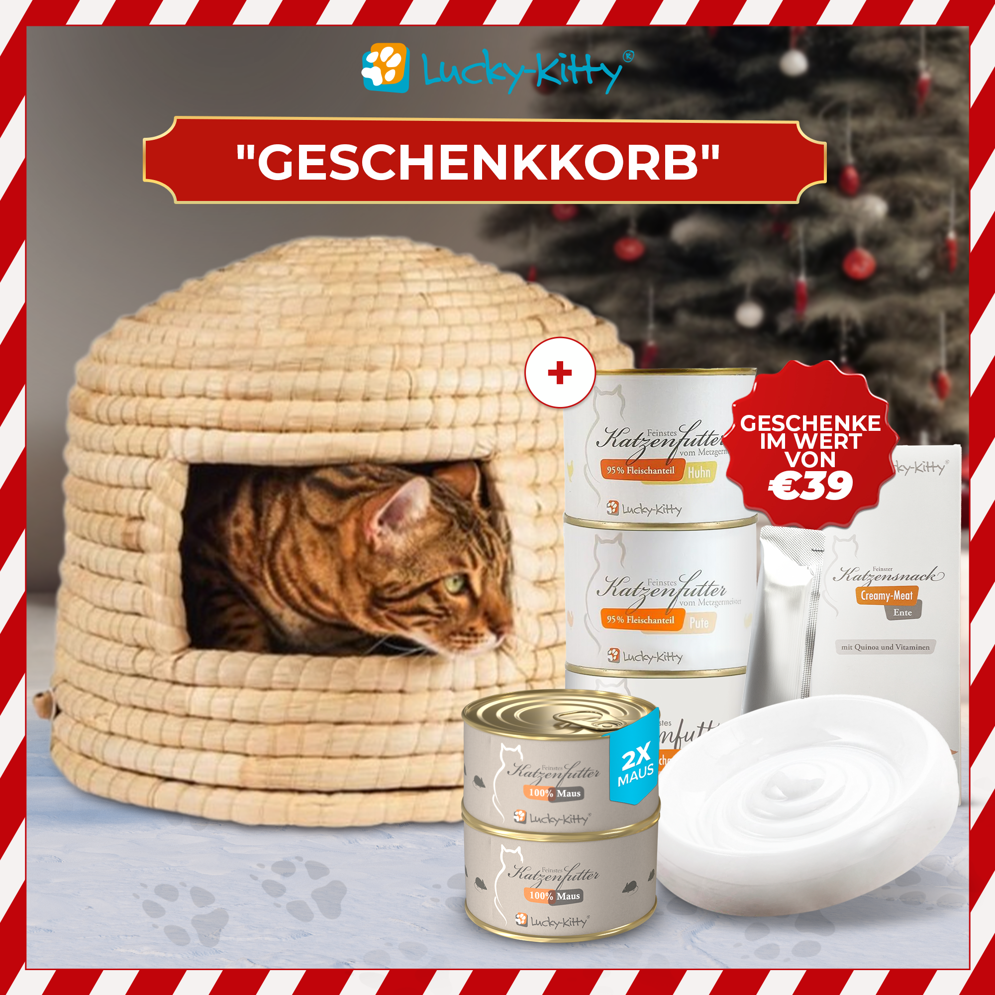 Cozy Cave (incl. free mouse)