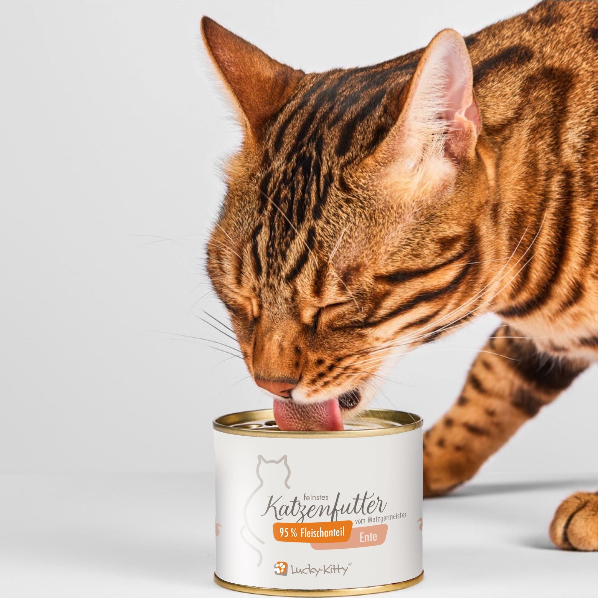 Katzenfutter Ente Premium-Qualität