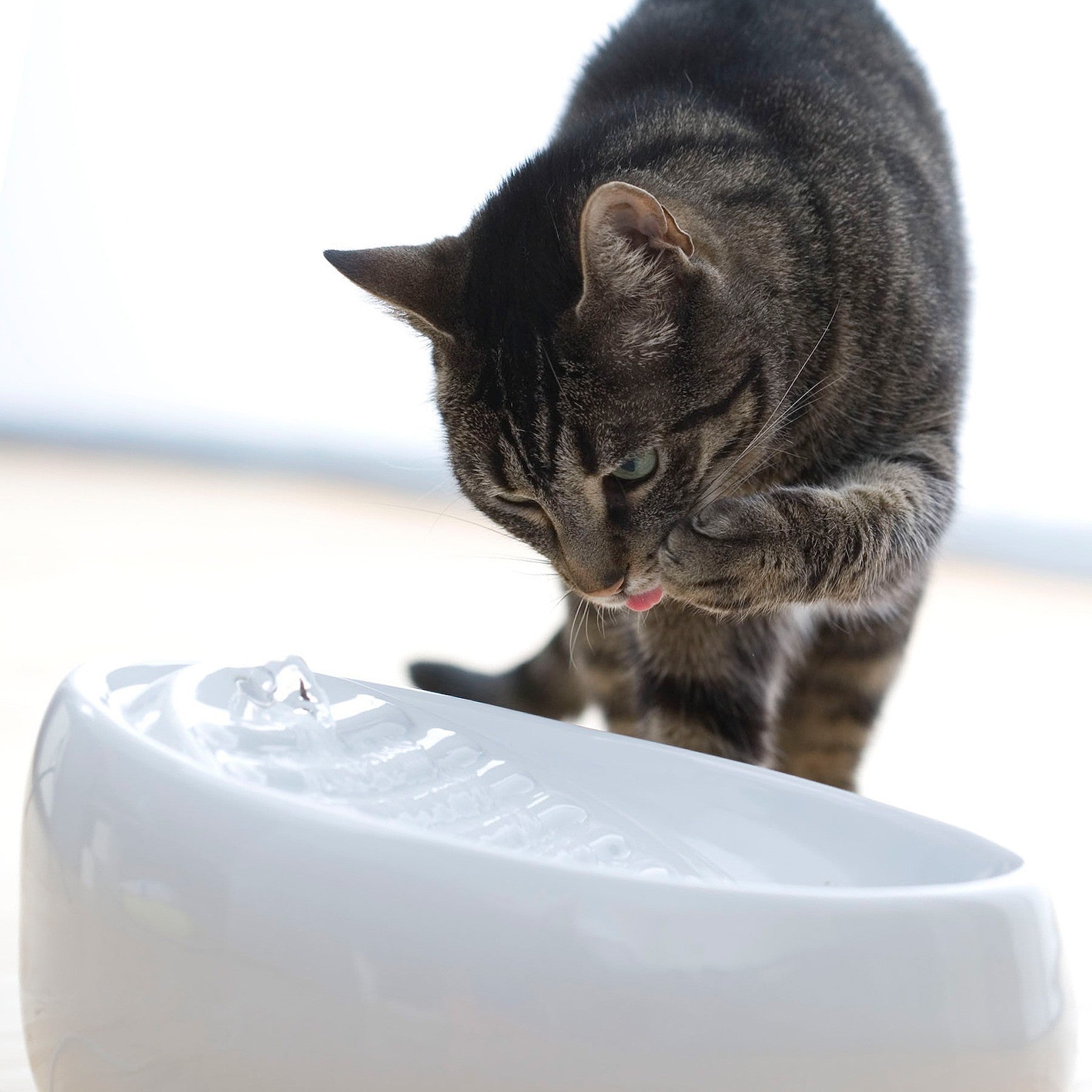 Cat Fountain Ceramic (Gray)