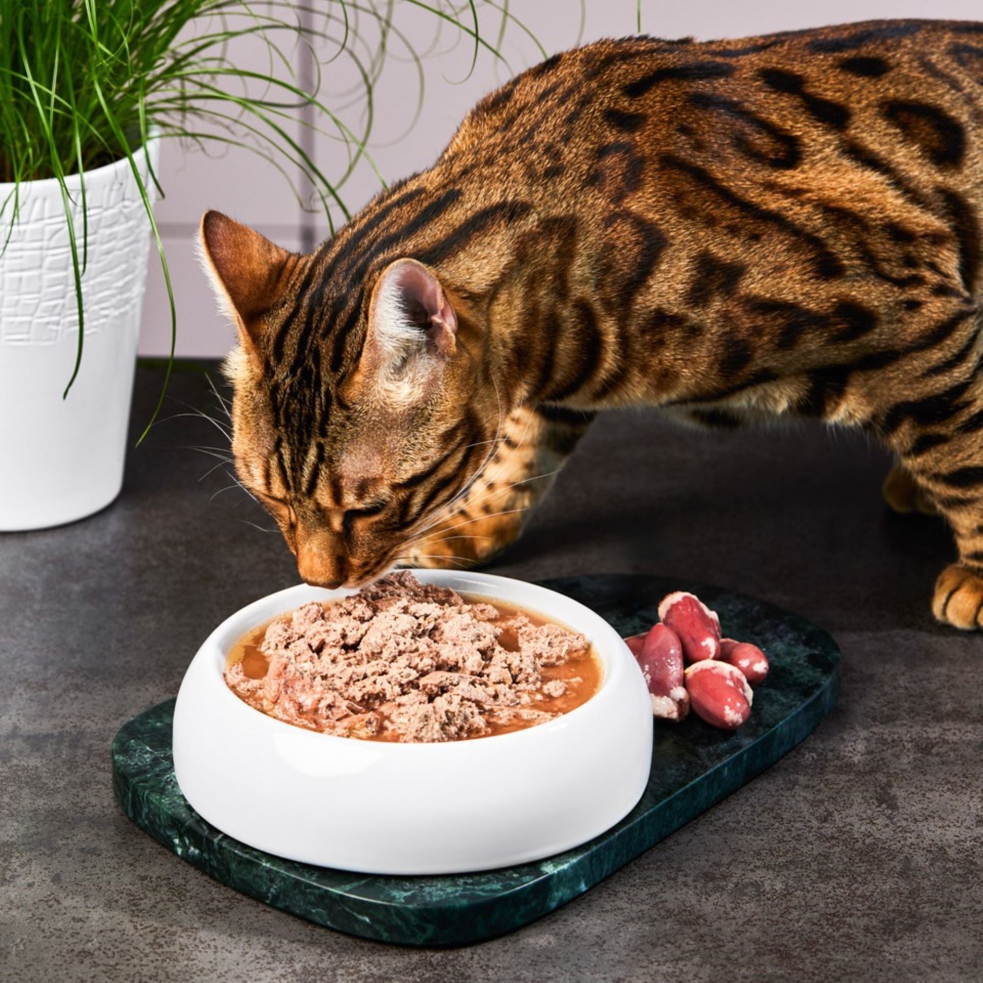 Katzenfutter Hühnerherzen Premium-Qualität