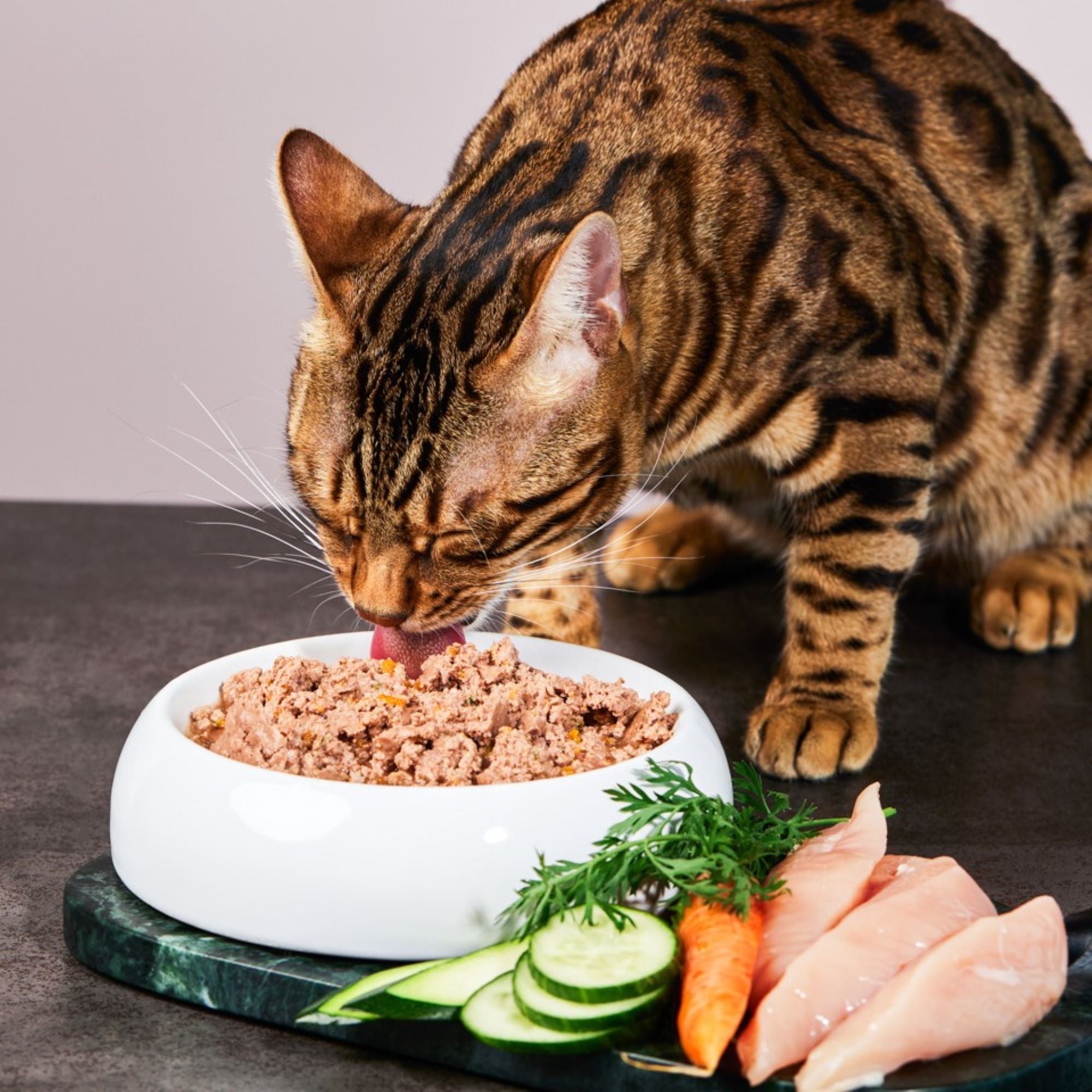 Cat food chicken premium quality
