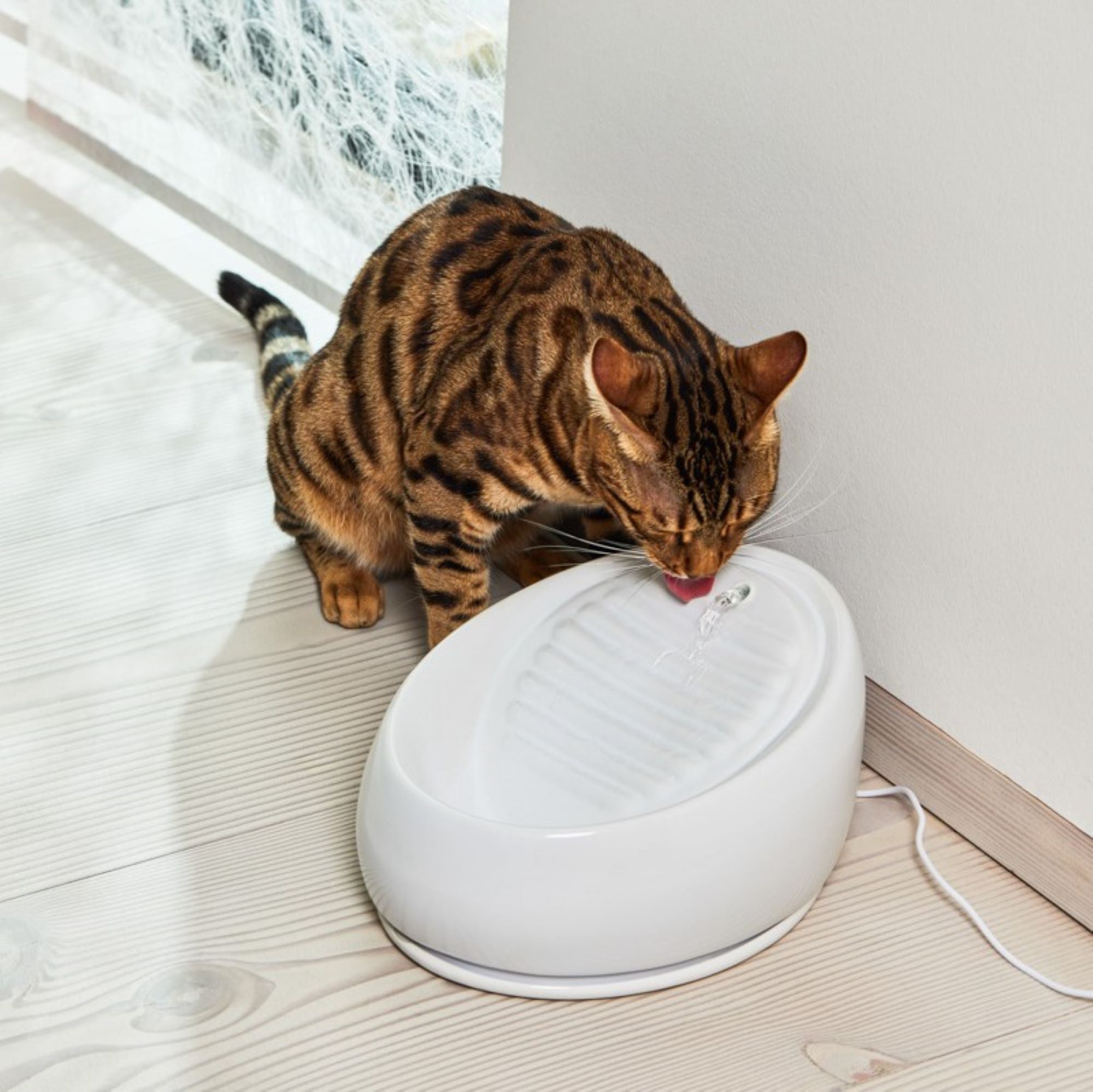 Cat Fountain Ceramic (White)