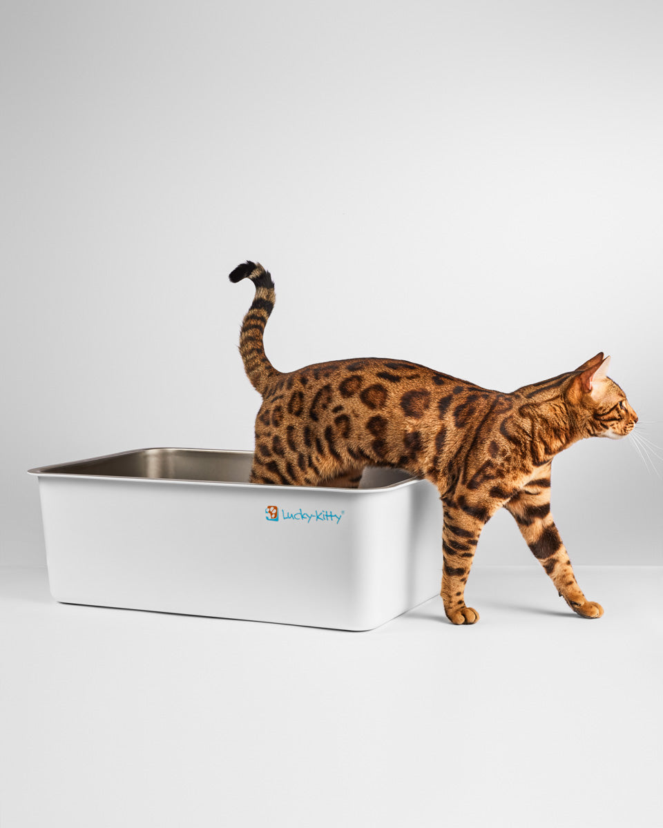 XXL Stainless Steel Cat Litter Box