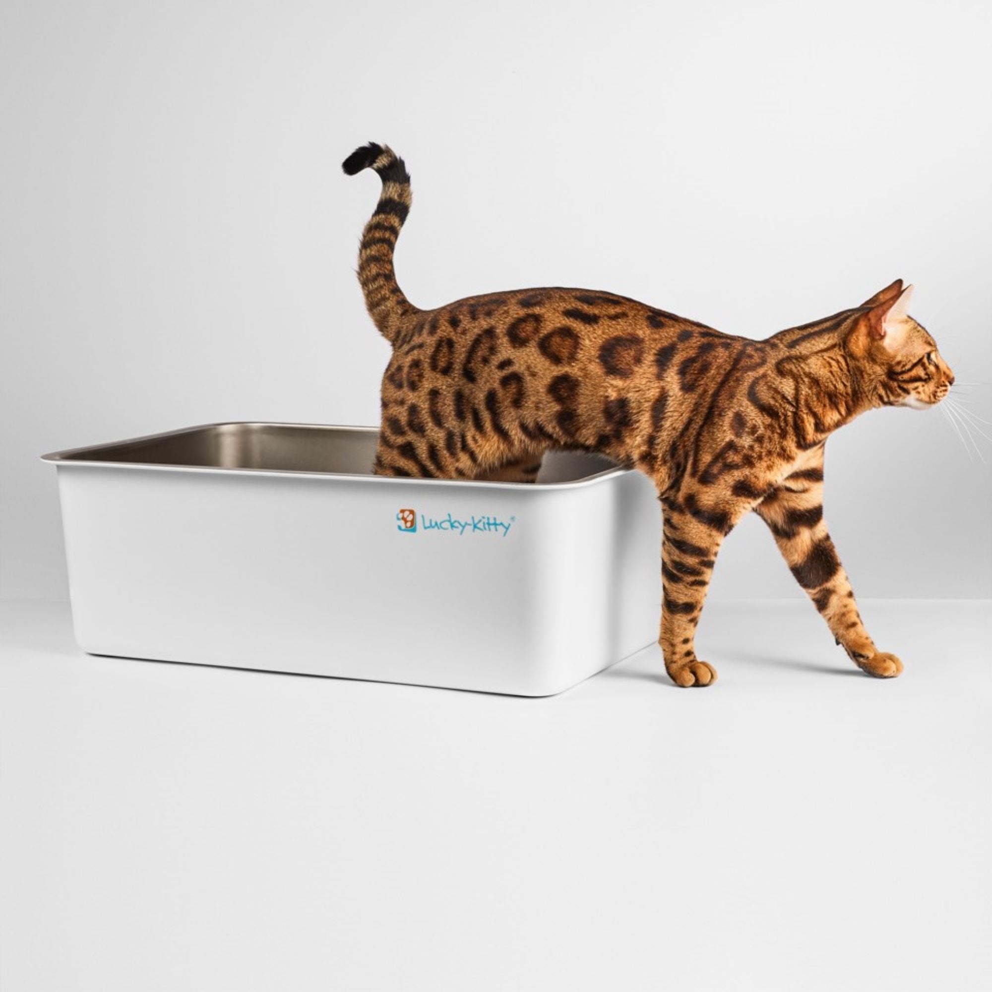 Cat toilet XXL stainless steel