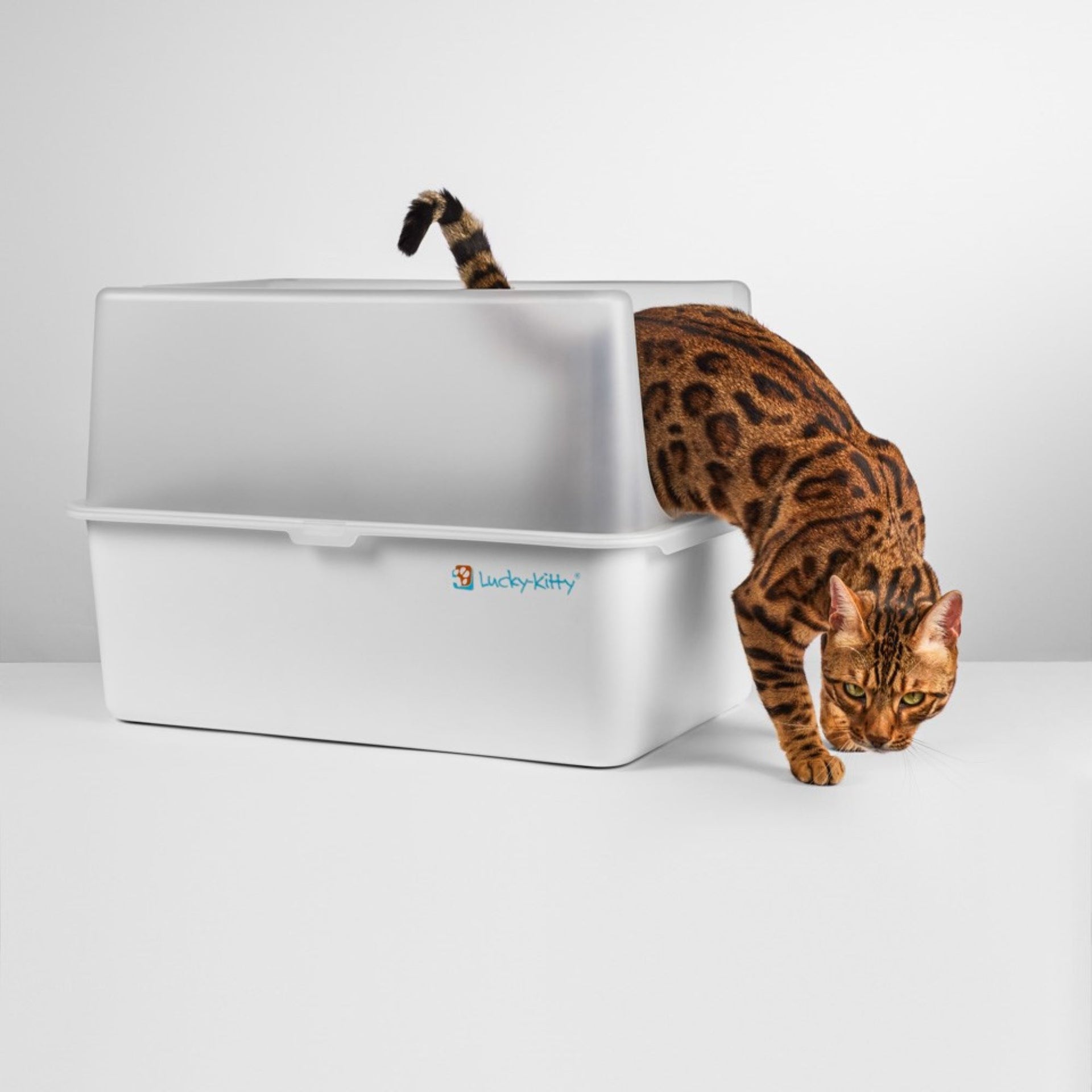 Haube für Katzentoilette XXL