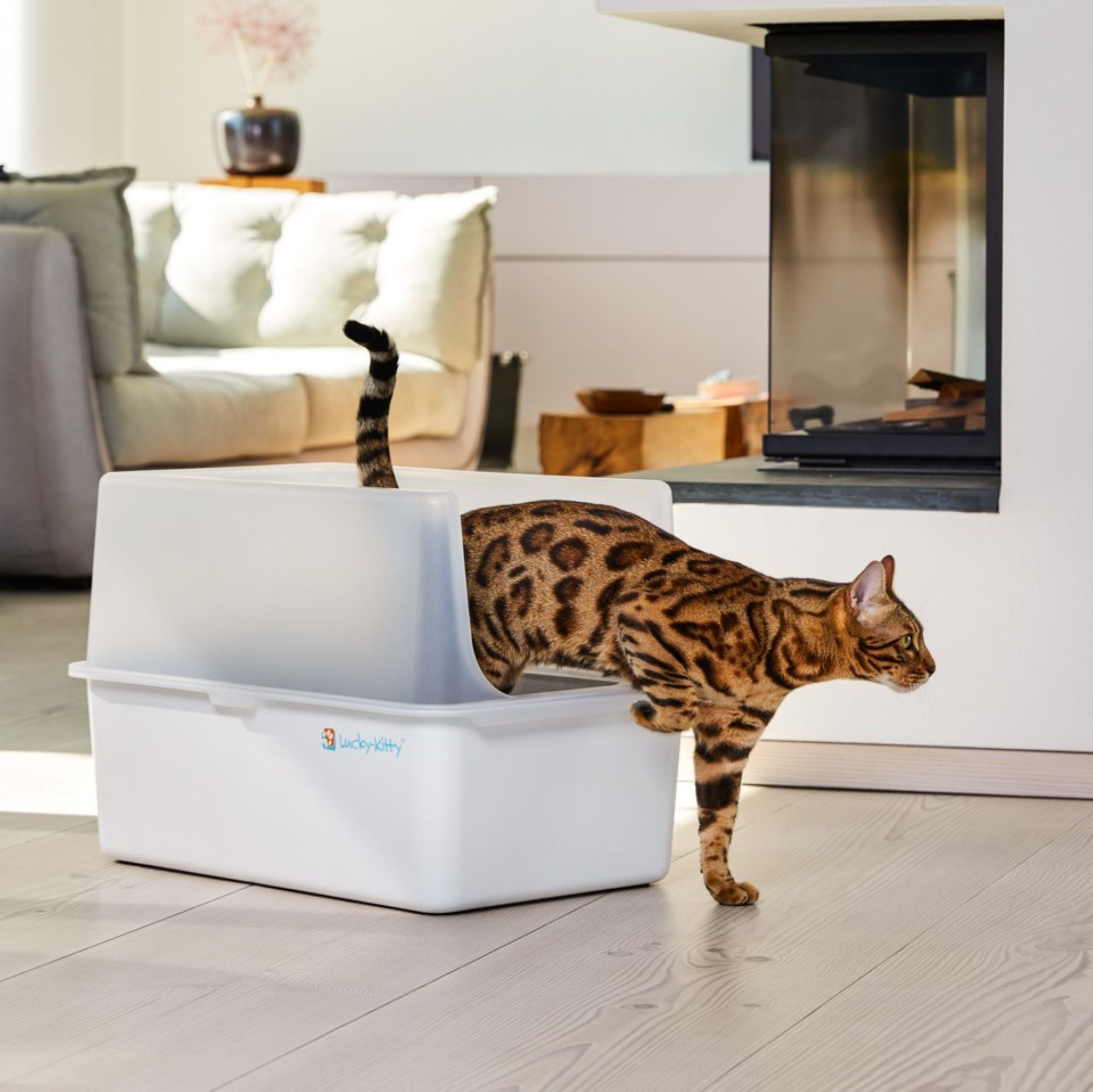 Cat Litter Box XXL (Stainless Steel White) + Hood (White Transparent)