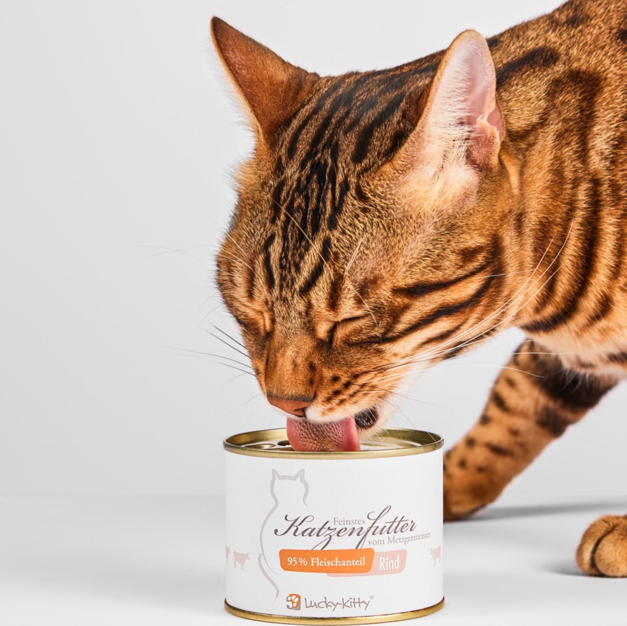 Premium Quality Beef Cat Food