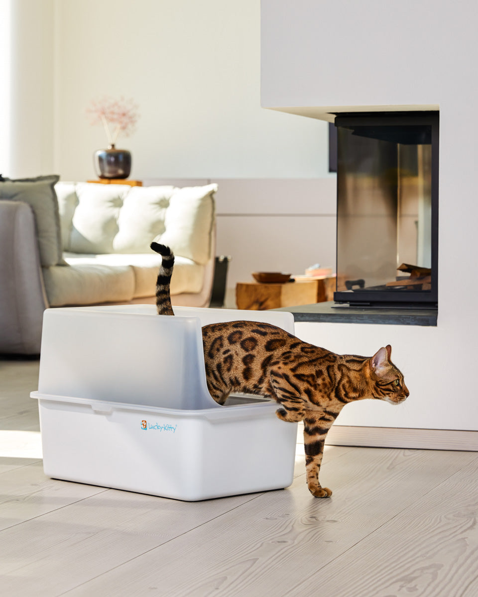 XXL Stainless Steel Cat Litter Box