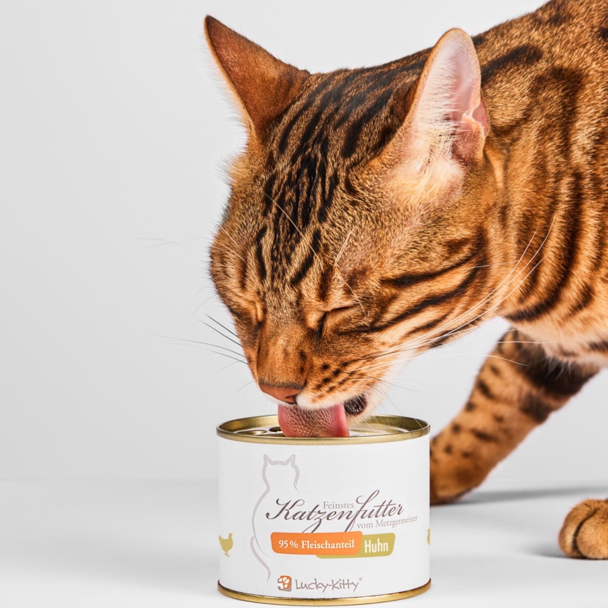 Cat food sample set (3x200g) + filet cream FREE