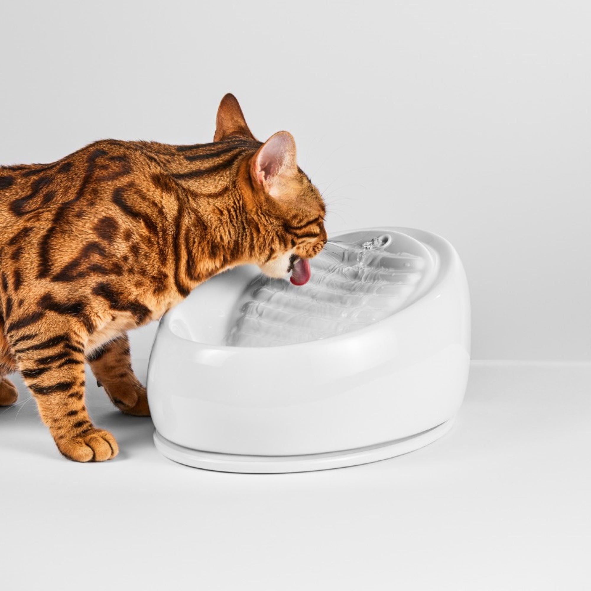 Cat Fountain Ceramic (White)