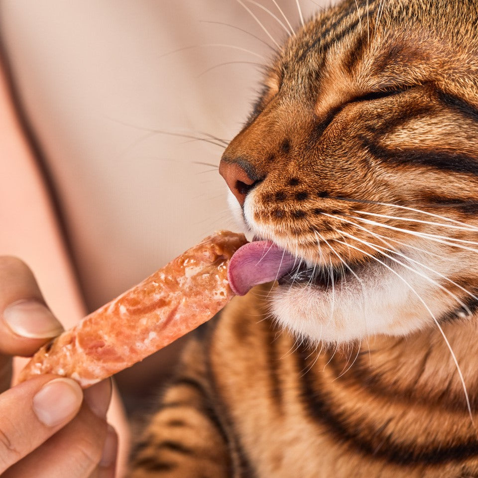 Lucky-Kitty Filet-Sticks Lachs Tray (5 x 4 = 20 Filet-Sticks)