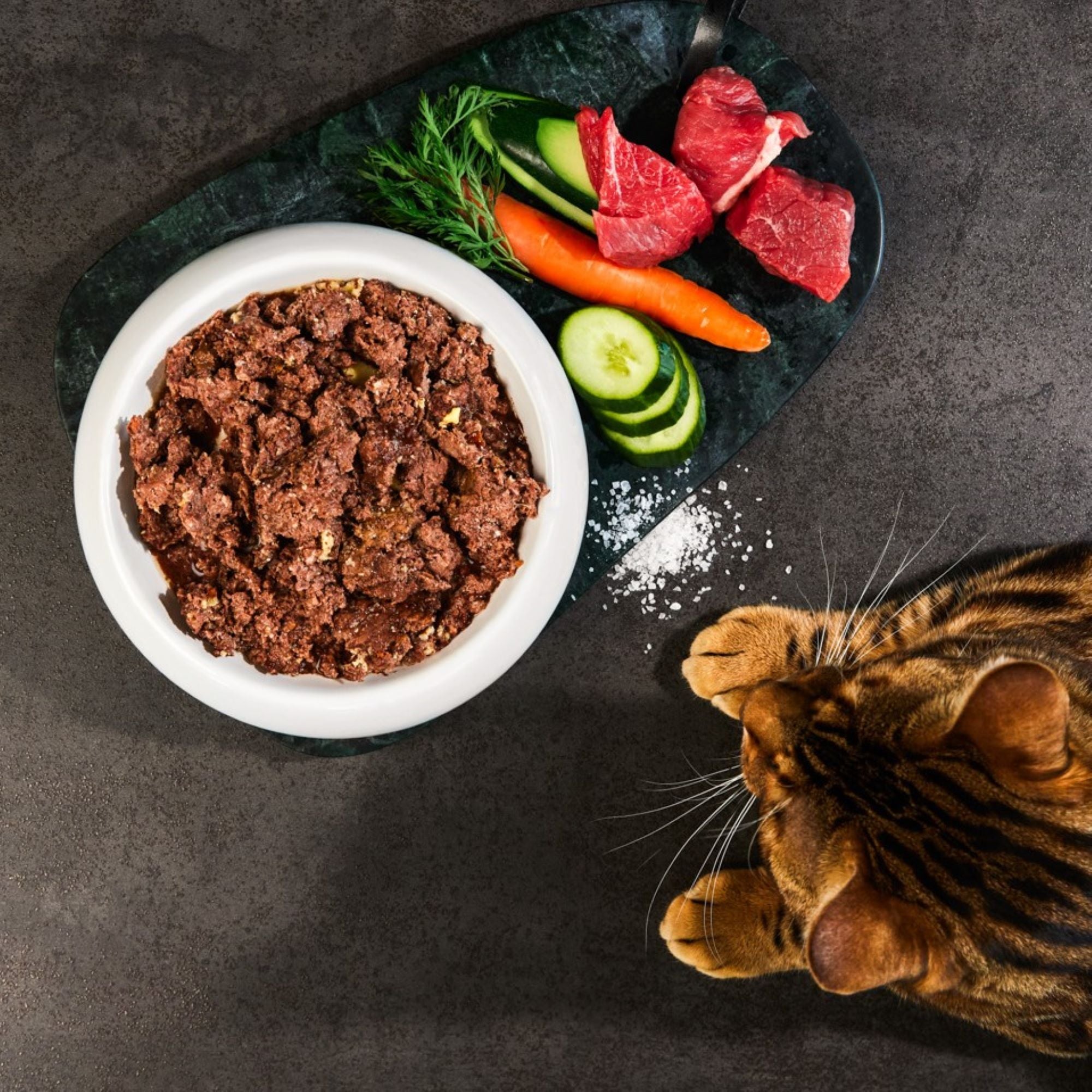 Allergie-Katzenfutter Wild Premium-Qualität