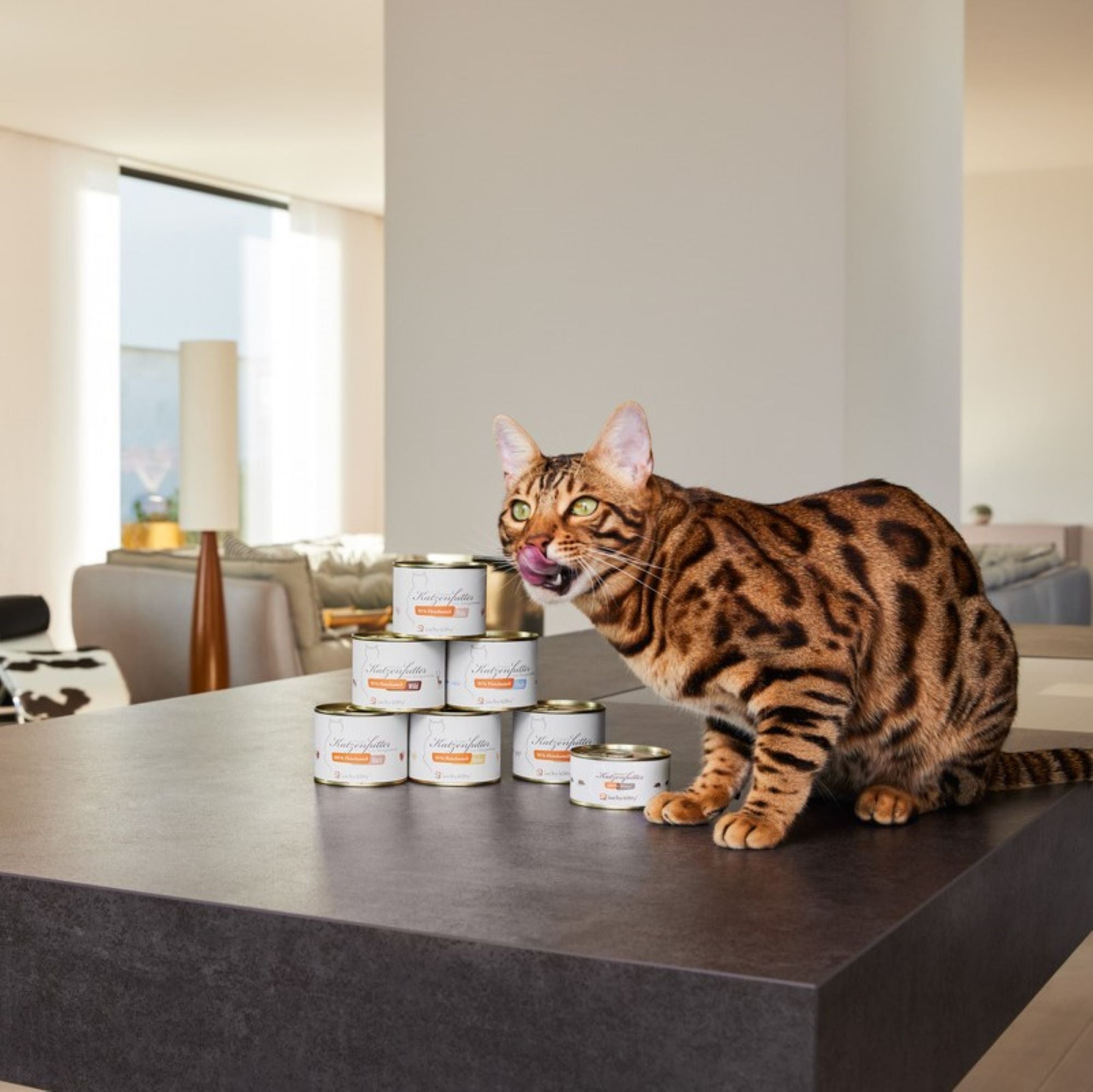 Cat food sample set (3x200g) + filet cream FREE