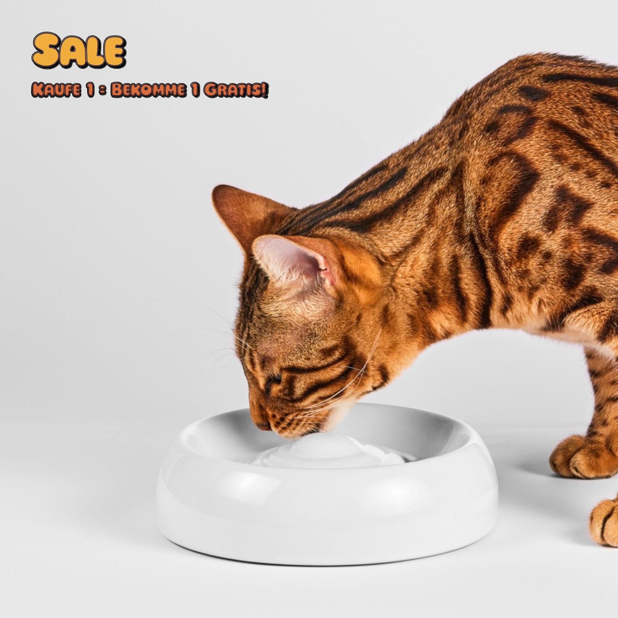 Cat Bowl Ceramic Premium Quality