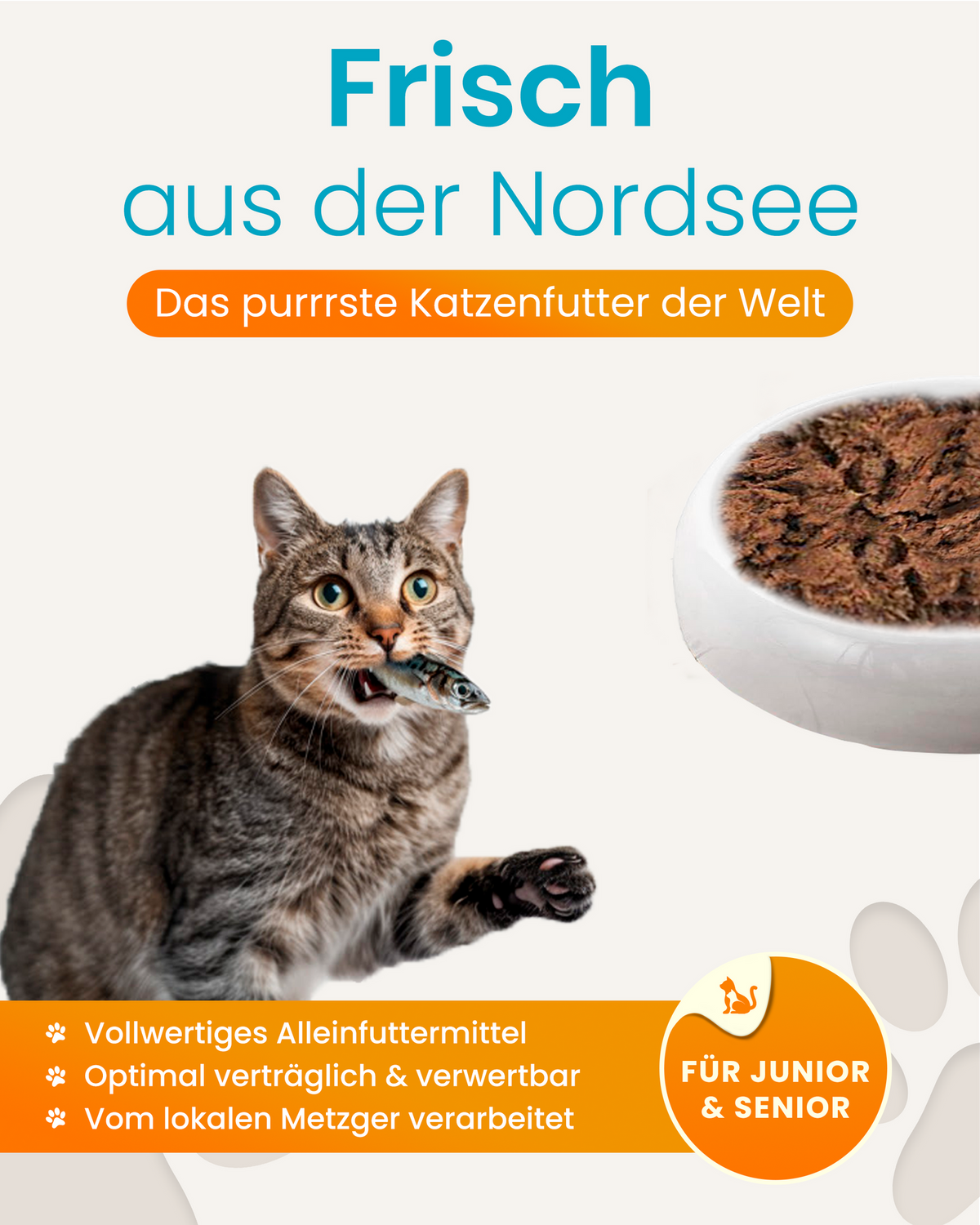 Cat Food Fish Premium Quality